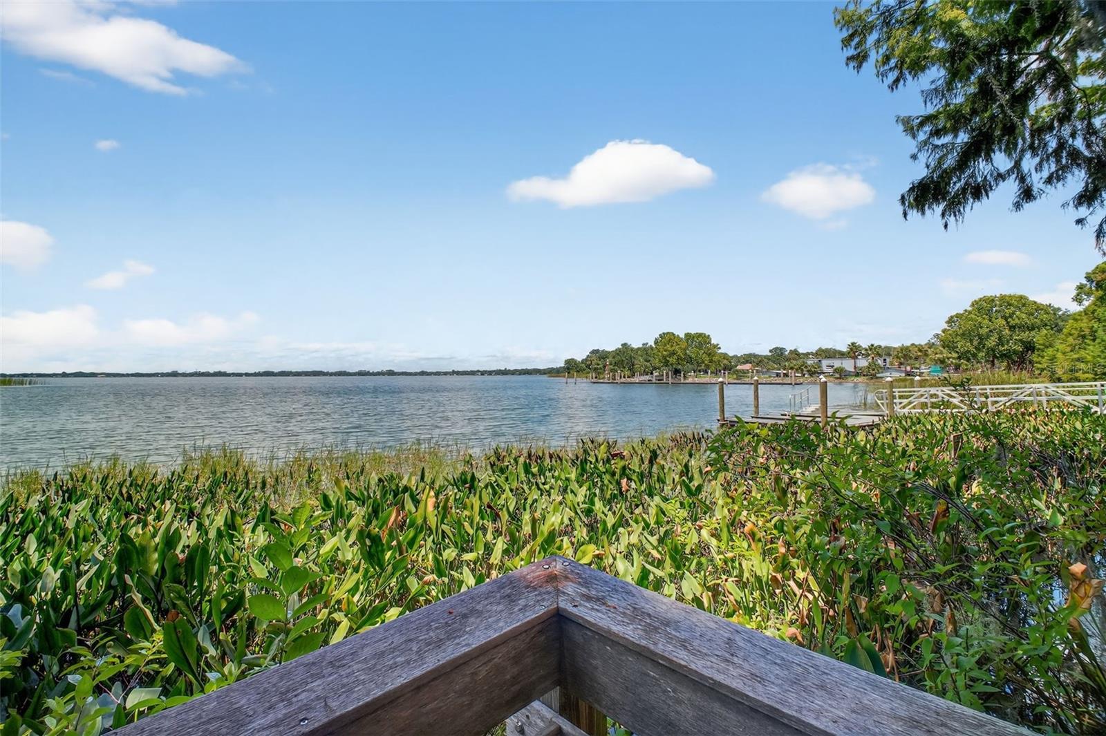 621 HIGH POINT DR, MOUNT DORA, FL, 32757