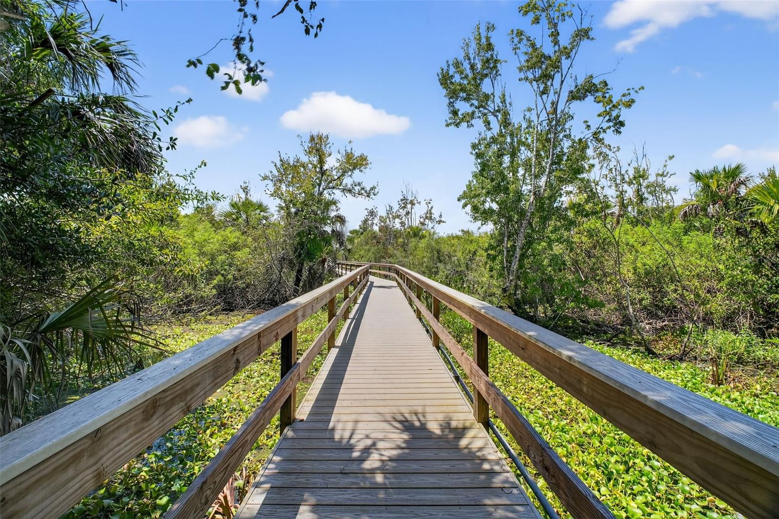 621 HIGH POINT DR, MOUNT DORA, FL, 32757