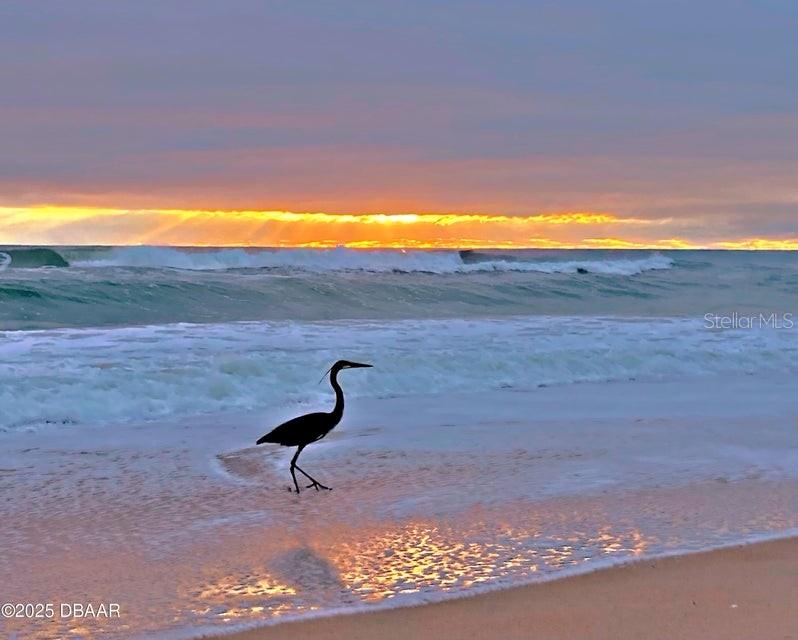 68 HIBISCUS DR, ORMOND BEACH, FL, 32176