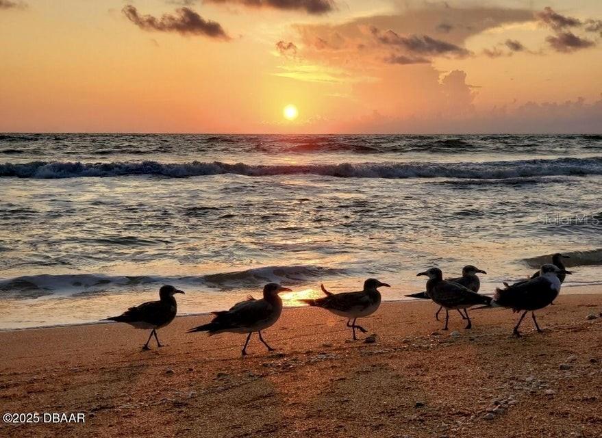 68 HIBISCUS DR, ORMOND BEACH, FL, 32176