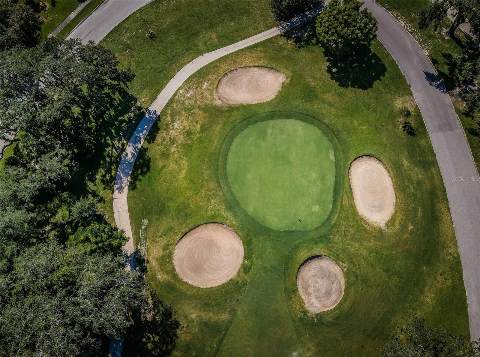 209 S GREENFIELD AVE, TEMPLE TERRACE, FL, 33617