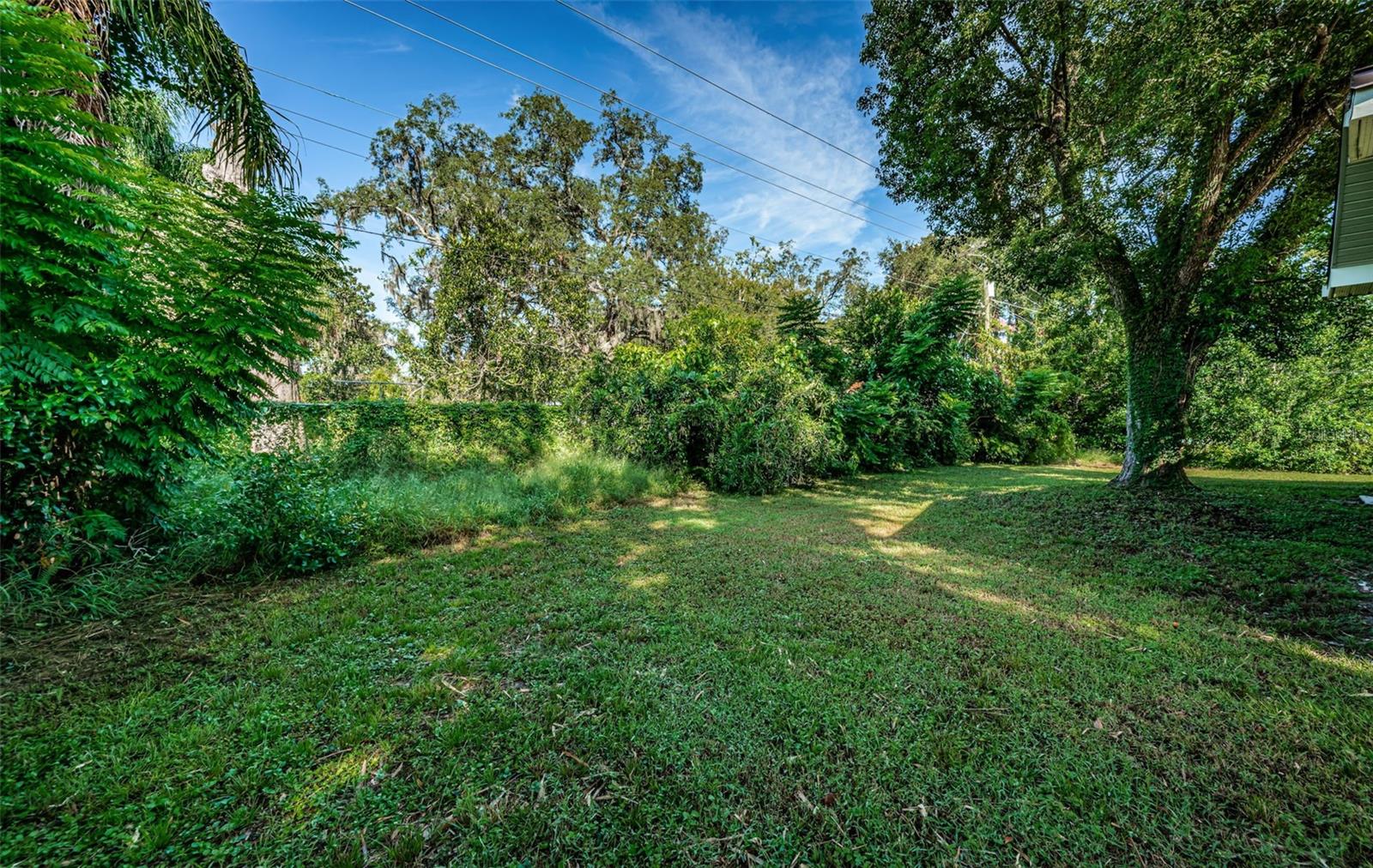 209 S GREENFIELD AVE, TEMPLE TERRACE, FL, 33617