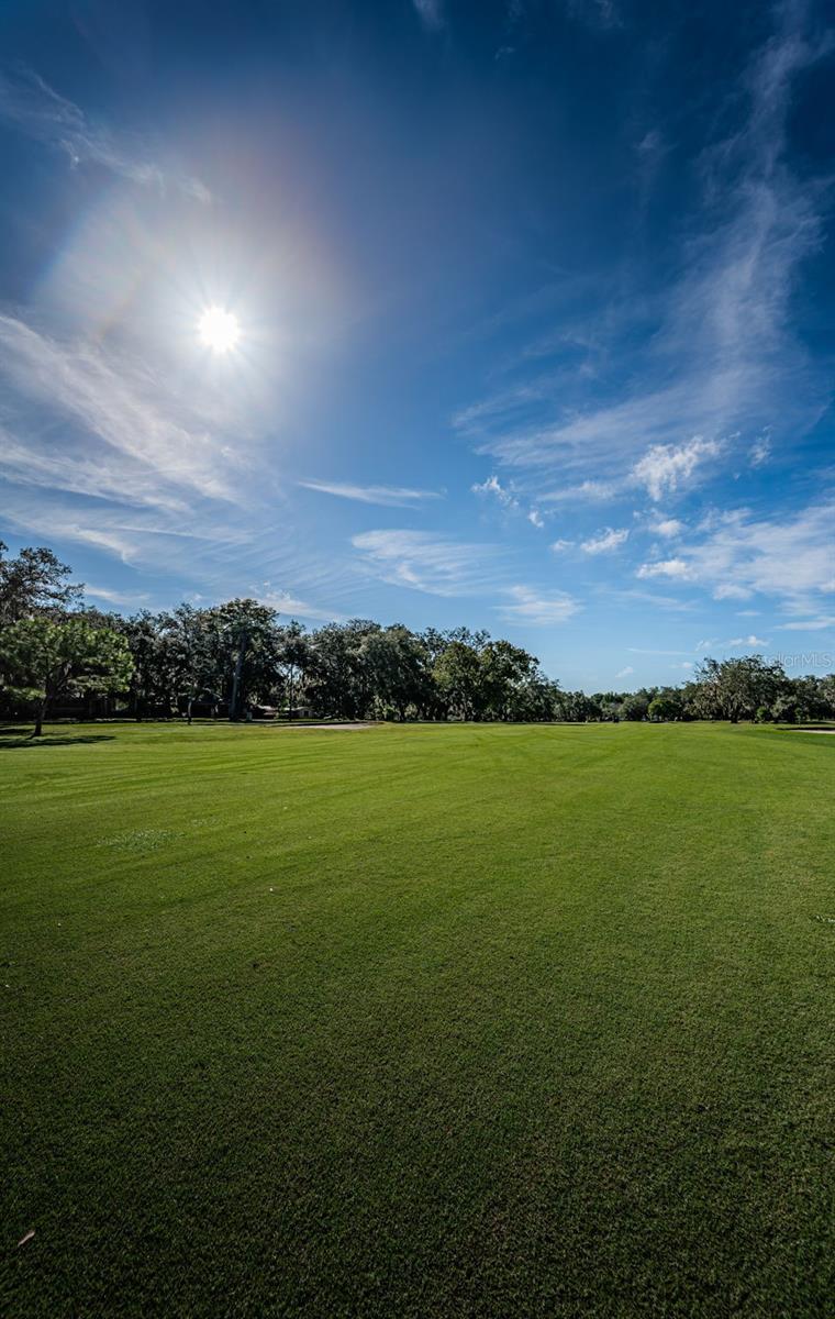 209 S GREENFIELD AVE, TEMPLE TERRACE, FL, 33617