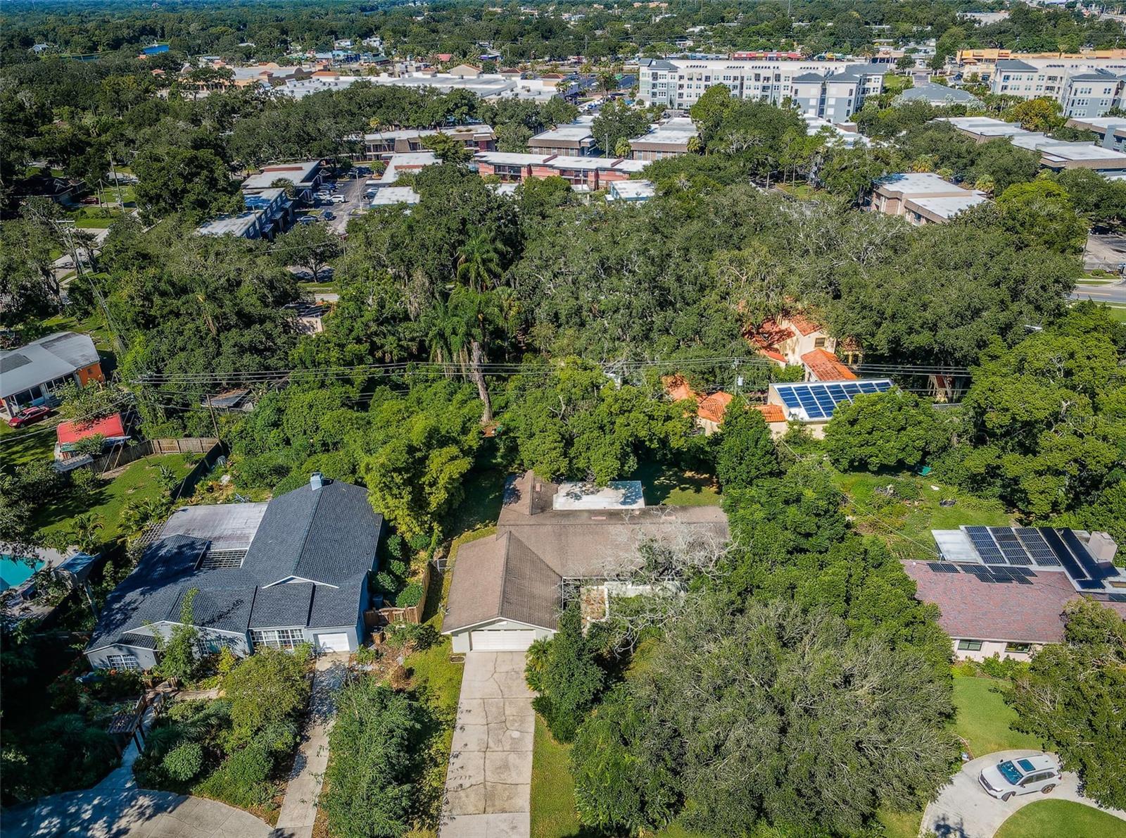 209 S GREENFIELD AVE, TEMPLE TERRACE, FL, 33617