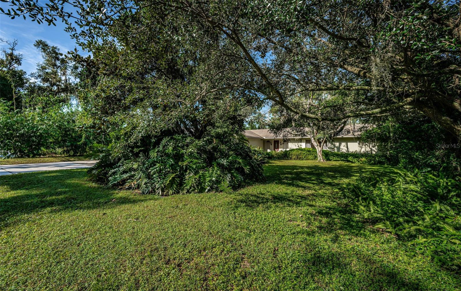 209 S GREENFIELD AVE, TEMPLE TERRACE, FL, 33617