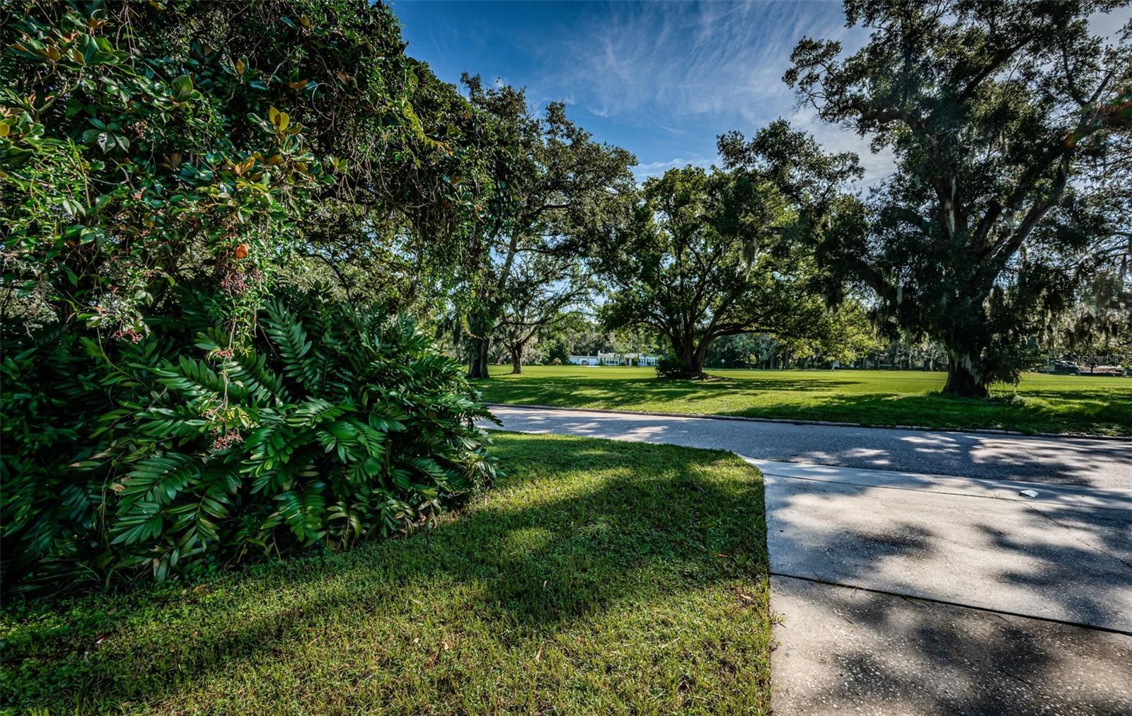 209 S GREENFIELD AVE, TEMPLE TERRACE, FL, 33617