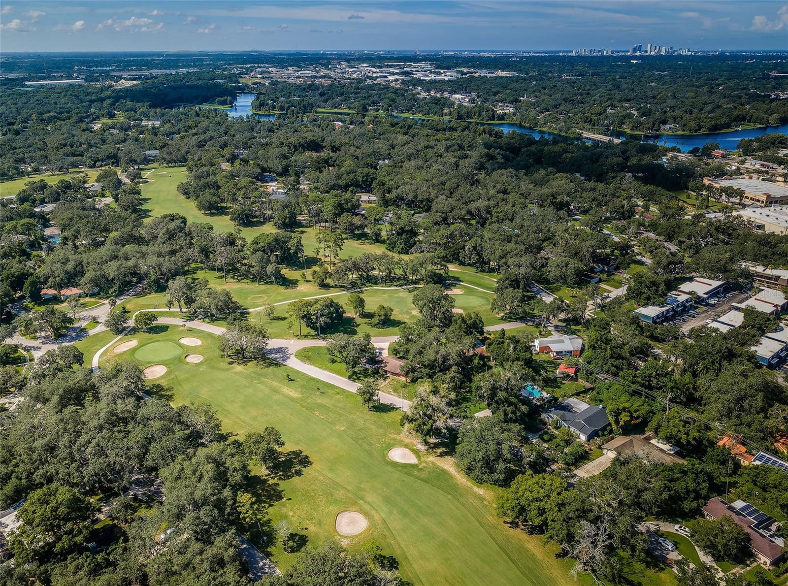 209 S GREENFIELD AVE, TEMPLE TERRACE, FL, 33617