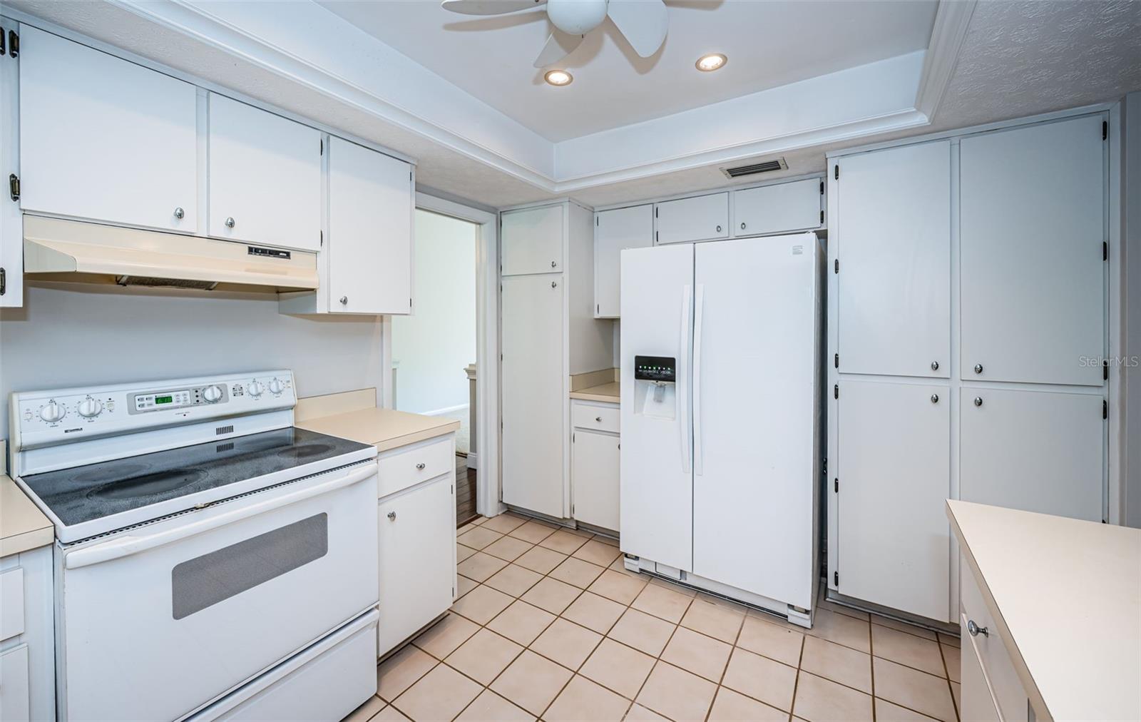 209 S GREENFIELD AVE, TEMPLE TERRACE, FL, 33617