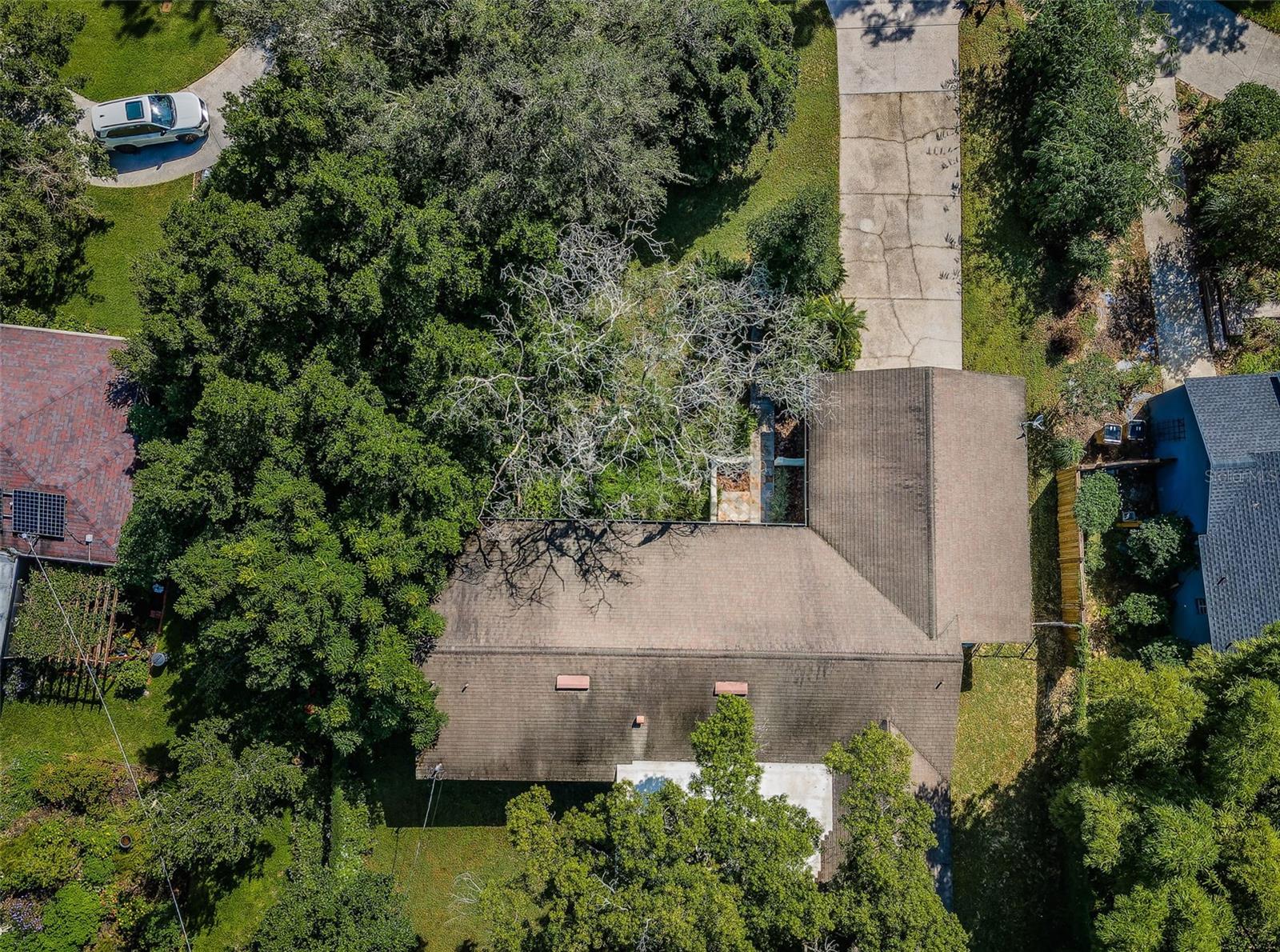 209 S GREENFIELD AVE, TEMPLE TERRACE, FL, 33617