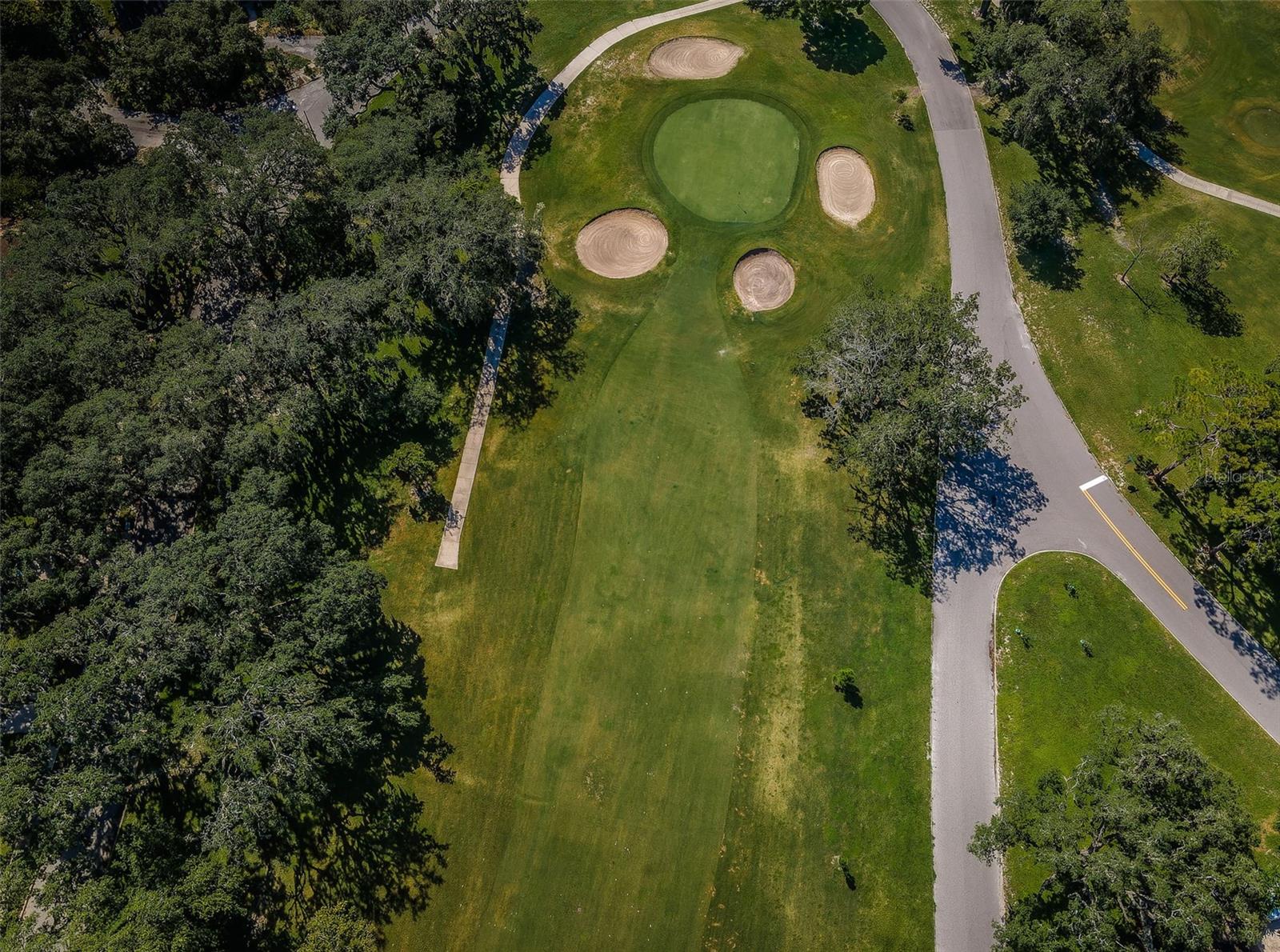 209 S GREENFIELD AVE, TEMPLE TERRACE, FL, 33617