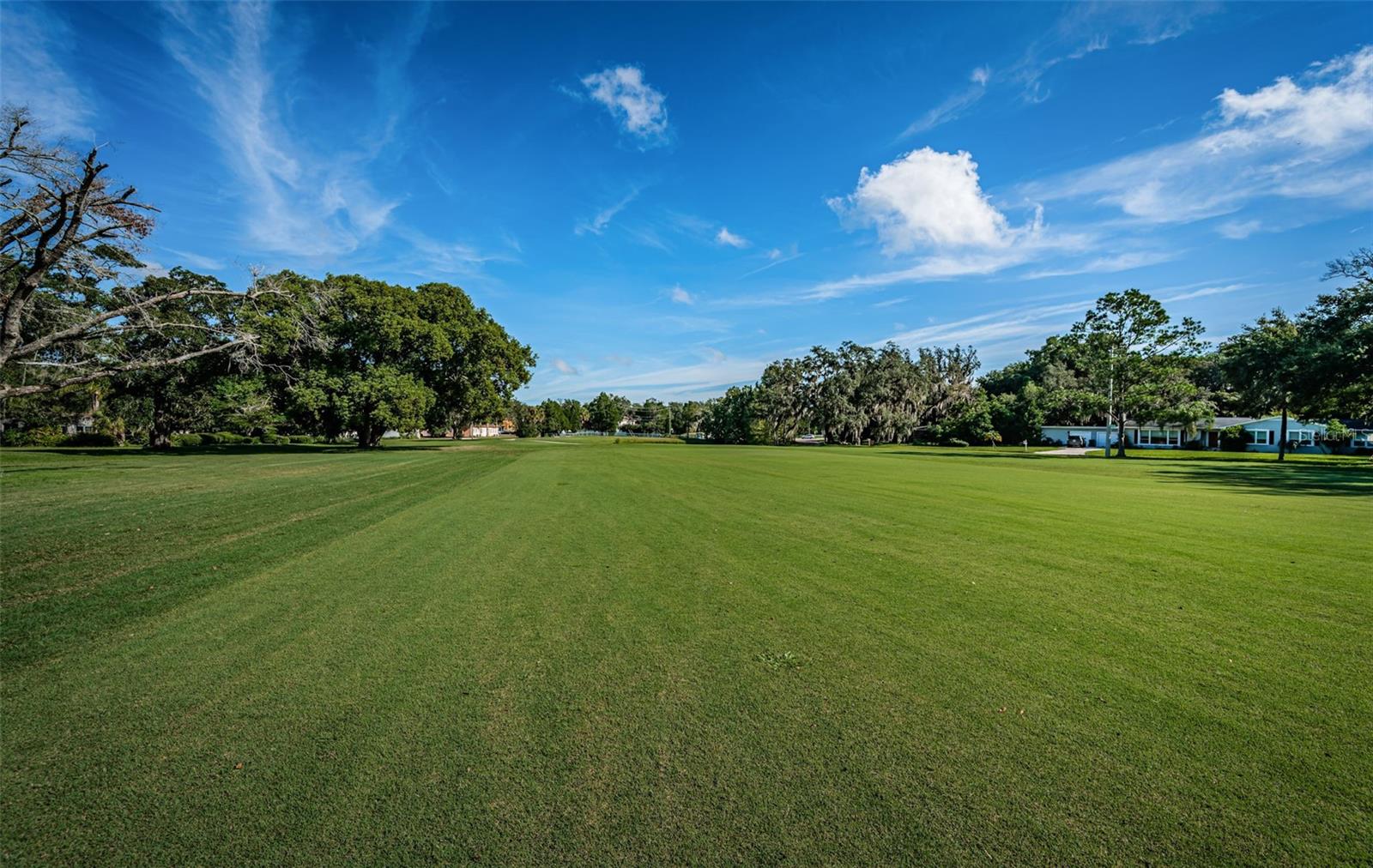 209 S GREENFIELD AVE, TEMPLE TERRACE, FL, 33617