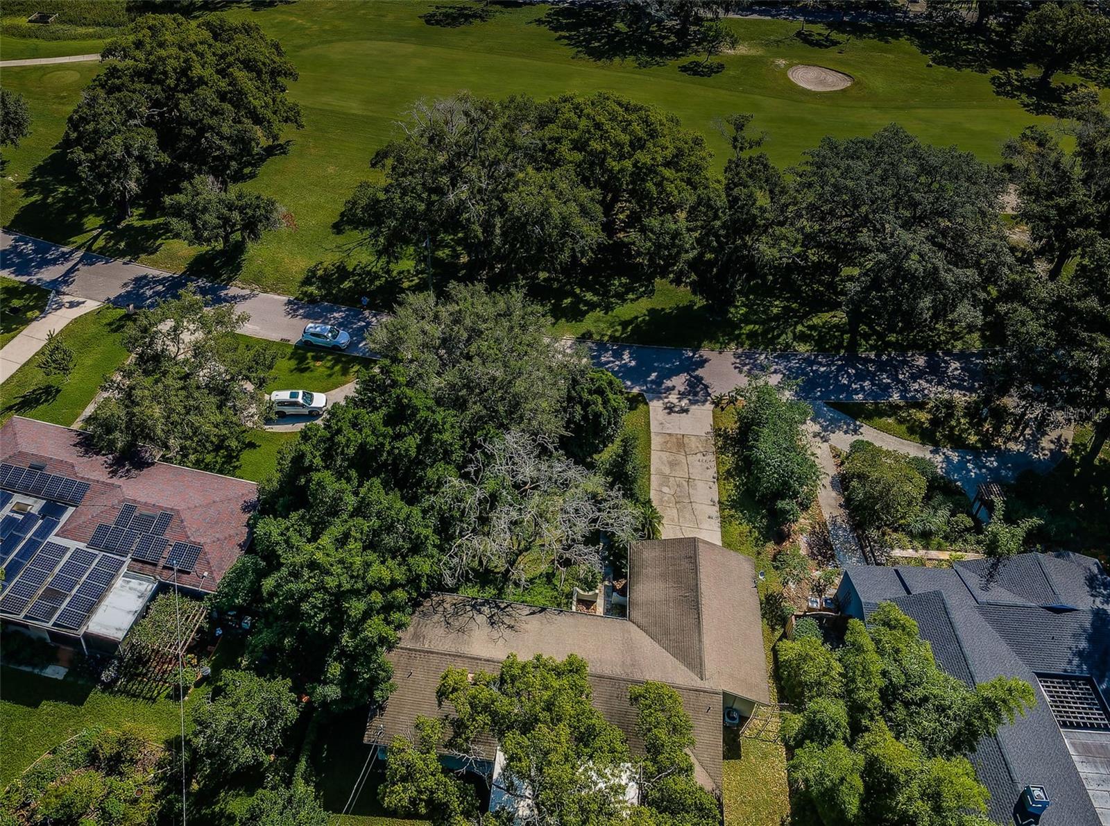 209 S GREENFIELD AVE, TEMPLE TERRACE, FL, 33617