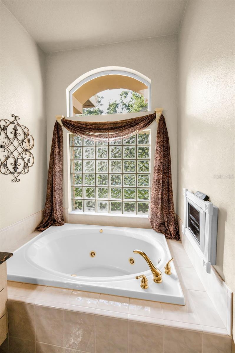 Garden Tub w/Lots of Light