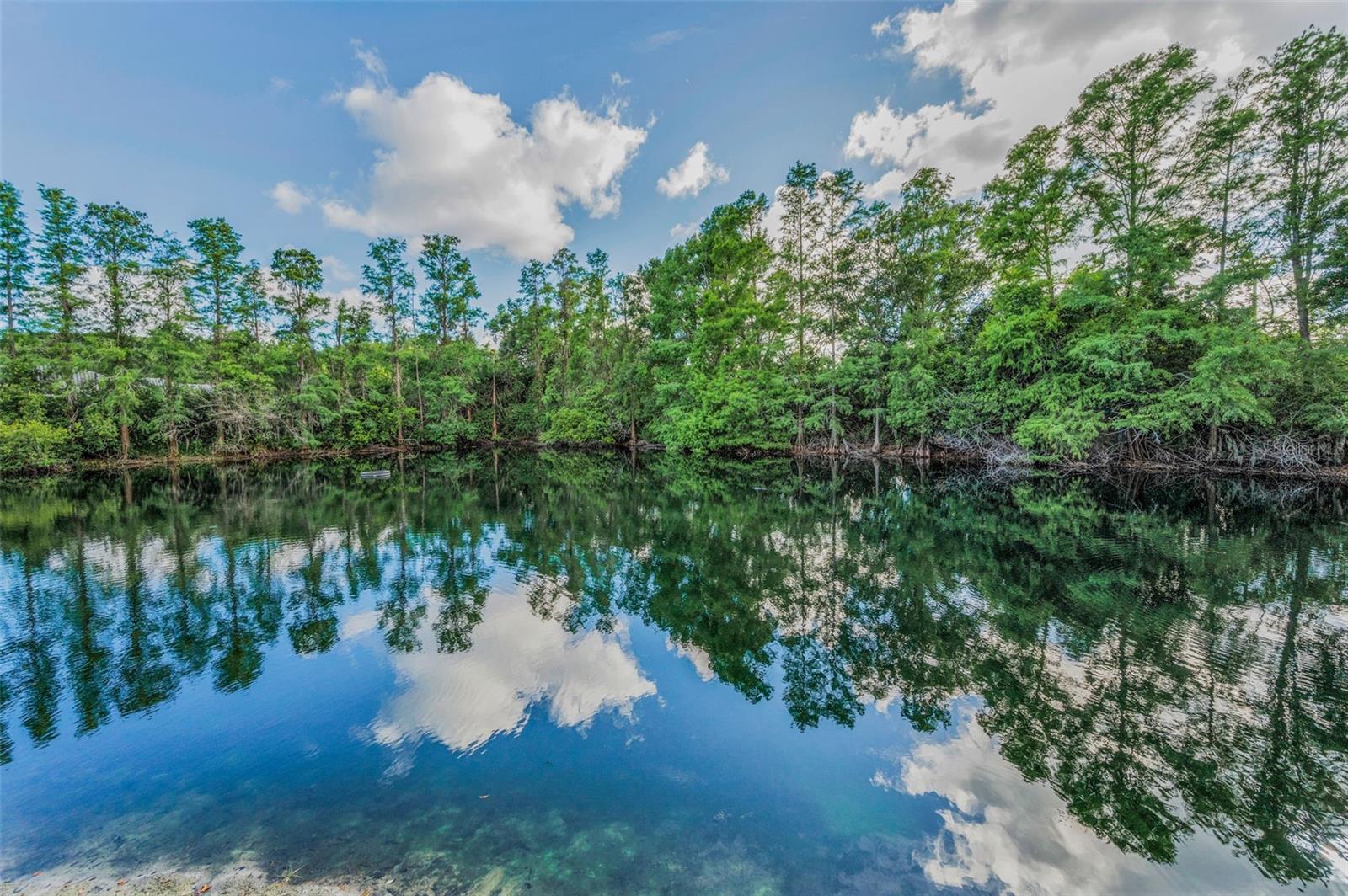 Beautiful Scenery in the Back Yard