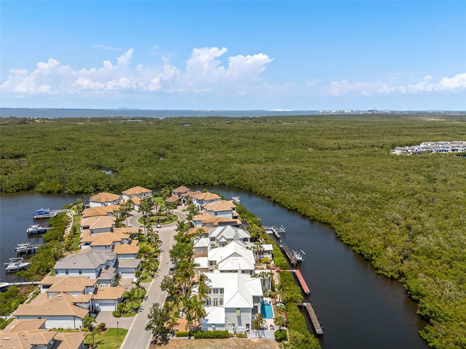 3125 CHRISTOPHERS WATCH LN, RUSKIN, FL, 33570