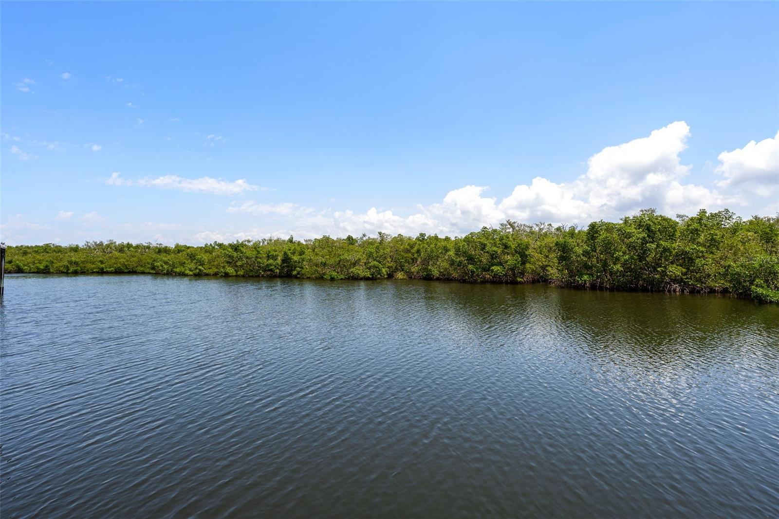 3125 CHRISTOPHERS WATCH LN, RUSKIN, FL, 33570