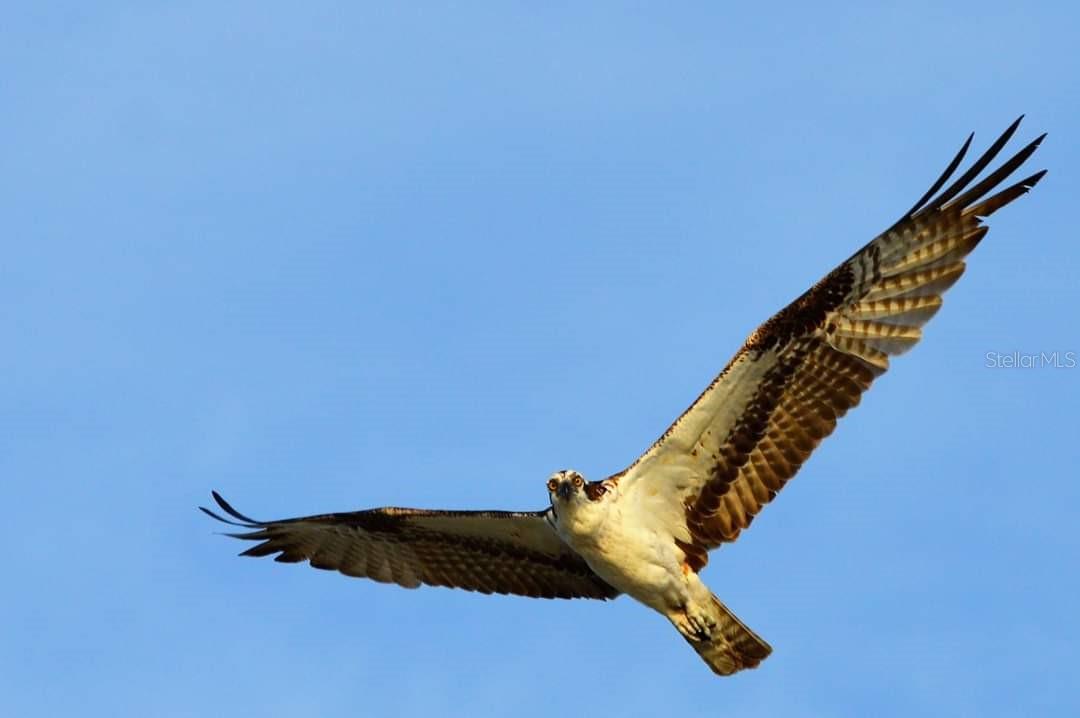 301 S GULF BLVD #3, PLACIDA, FL, 33946