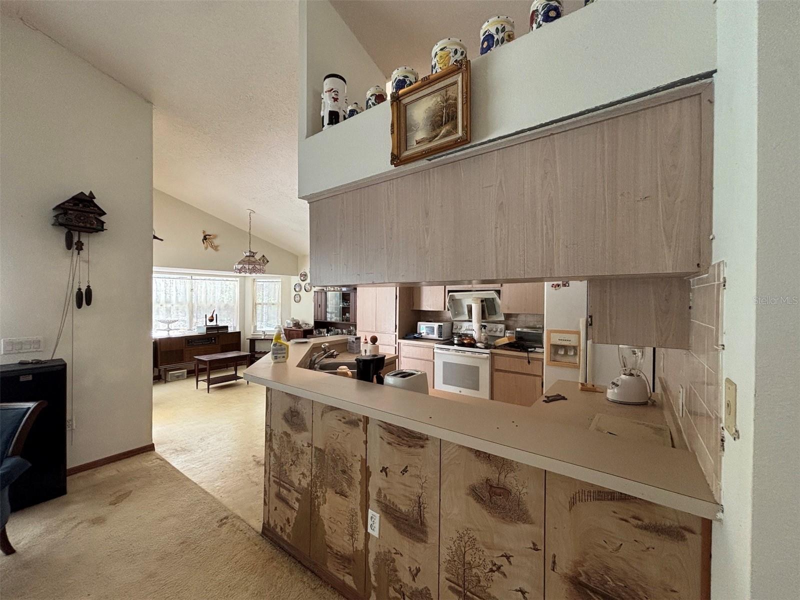 2995 N BRAVO DR, BEVERLY HILLS, FL, 34465