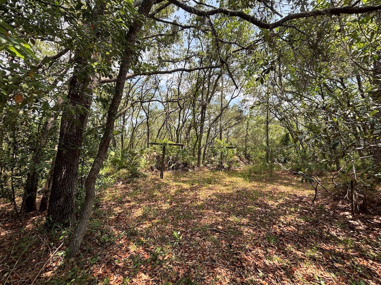 2995 N BRAVO DR, BEVERLY HILLS, FL, 34465