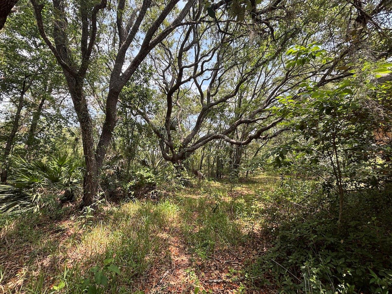 2995 N BRAVO DR, BEVERLY HILLS, FL, 34465