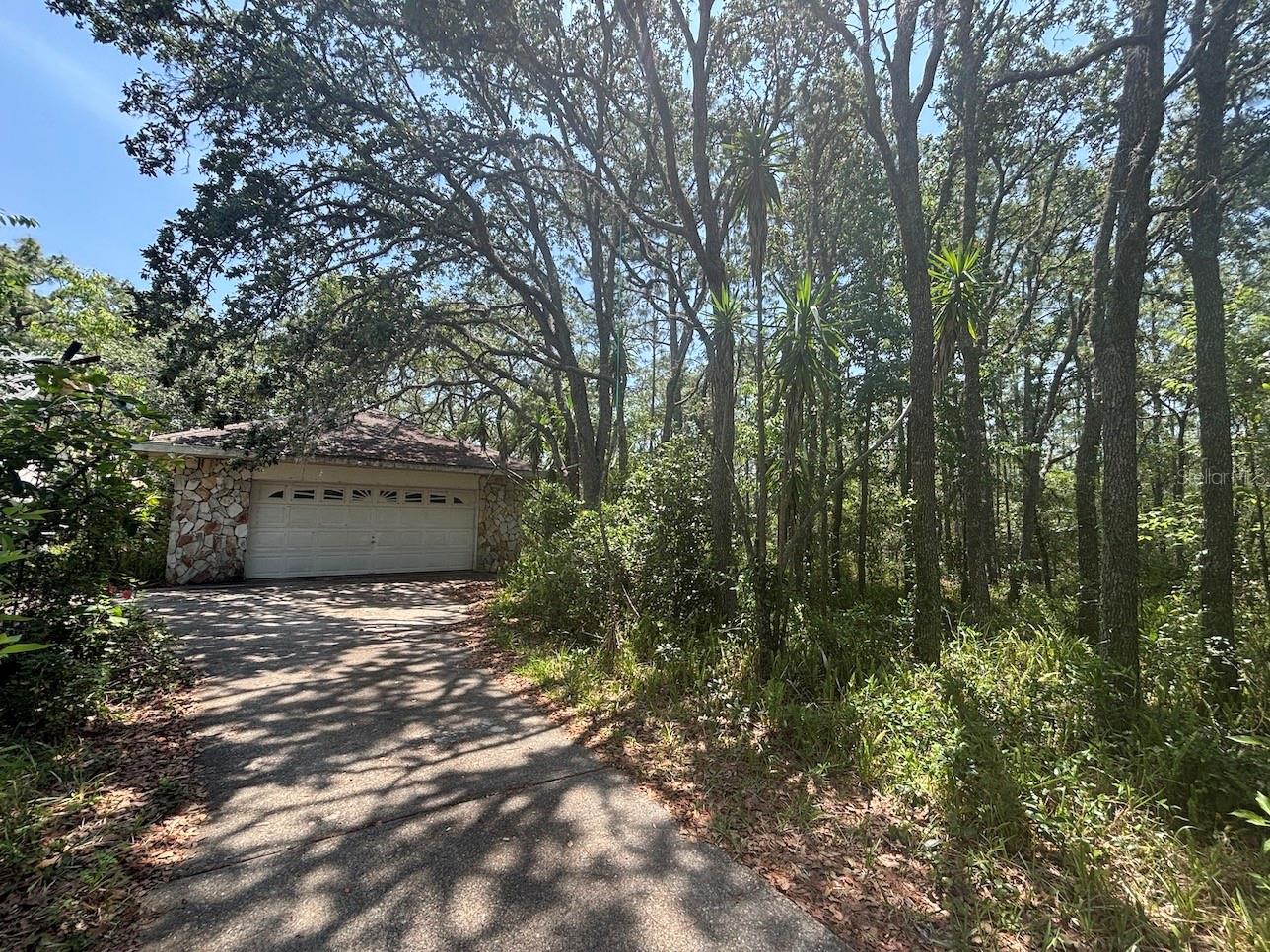 2995 N BRAVO DR, BEVERLY HILLS, FL, 34465