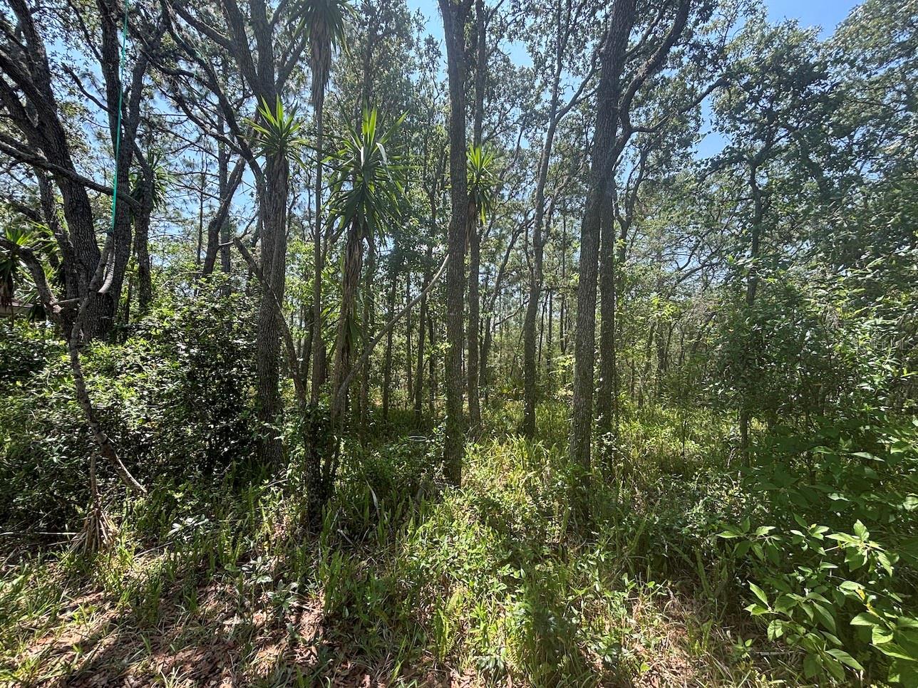 2995 N BRAVO DR, BEVERLY HILLS, FL, 34465