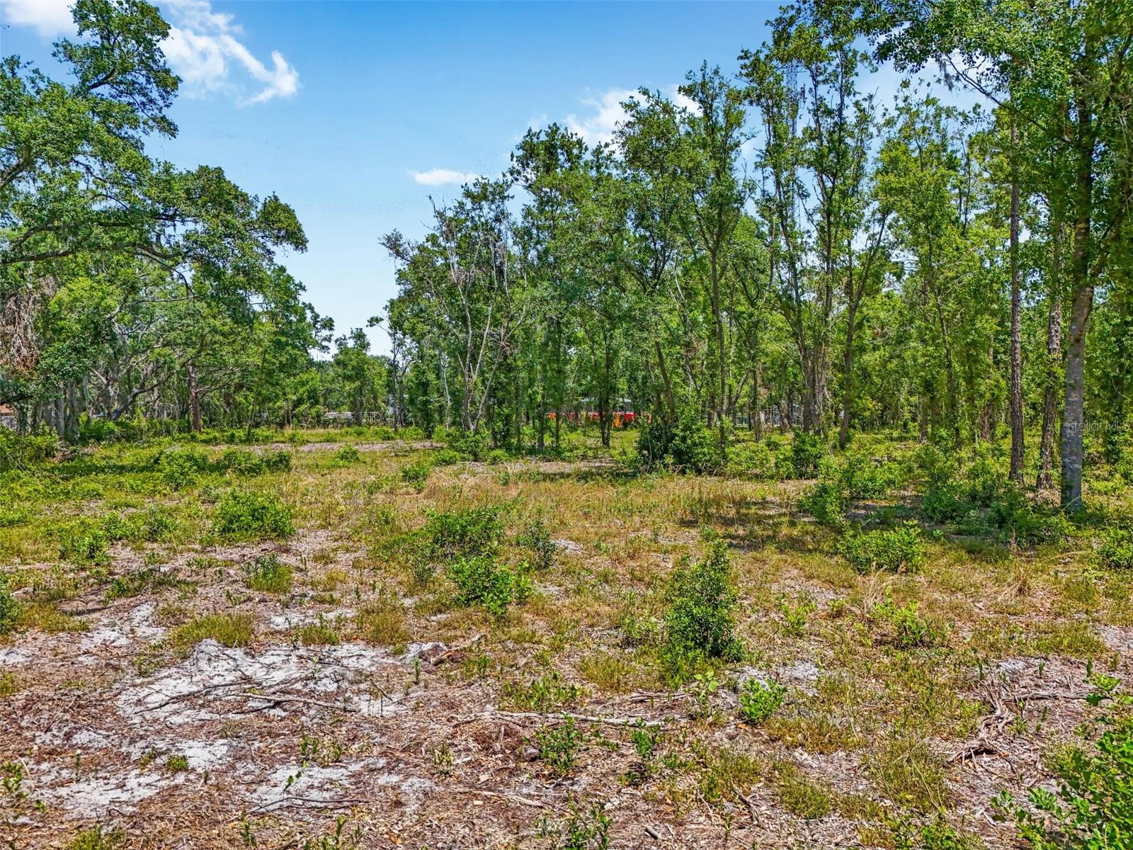 JUST OUR LANE, SEFFNER, FL, 33584