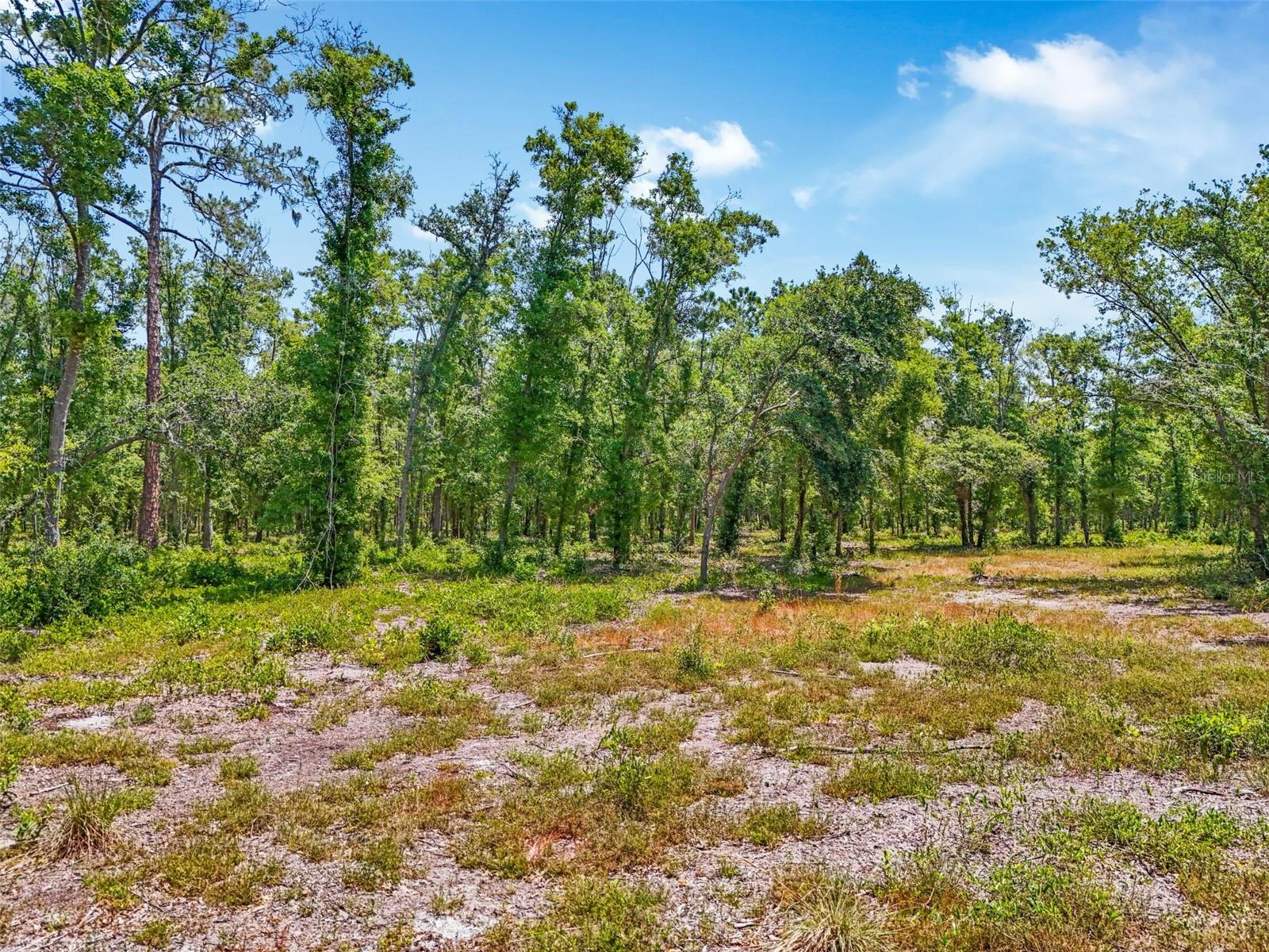 JUST OUR LANE, SEFFNER, FL, 33584