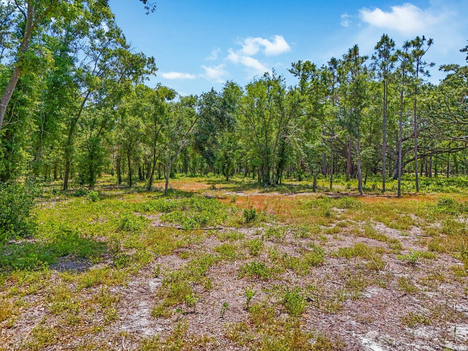 JUST OUR LANE, SEFFNER, FL, 33584
