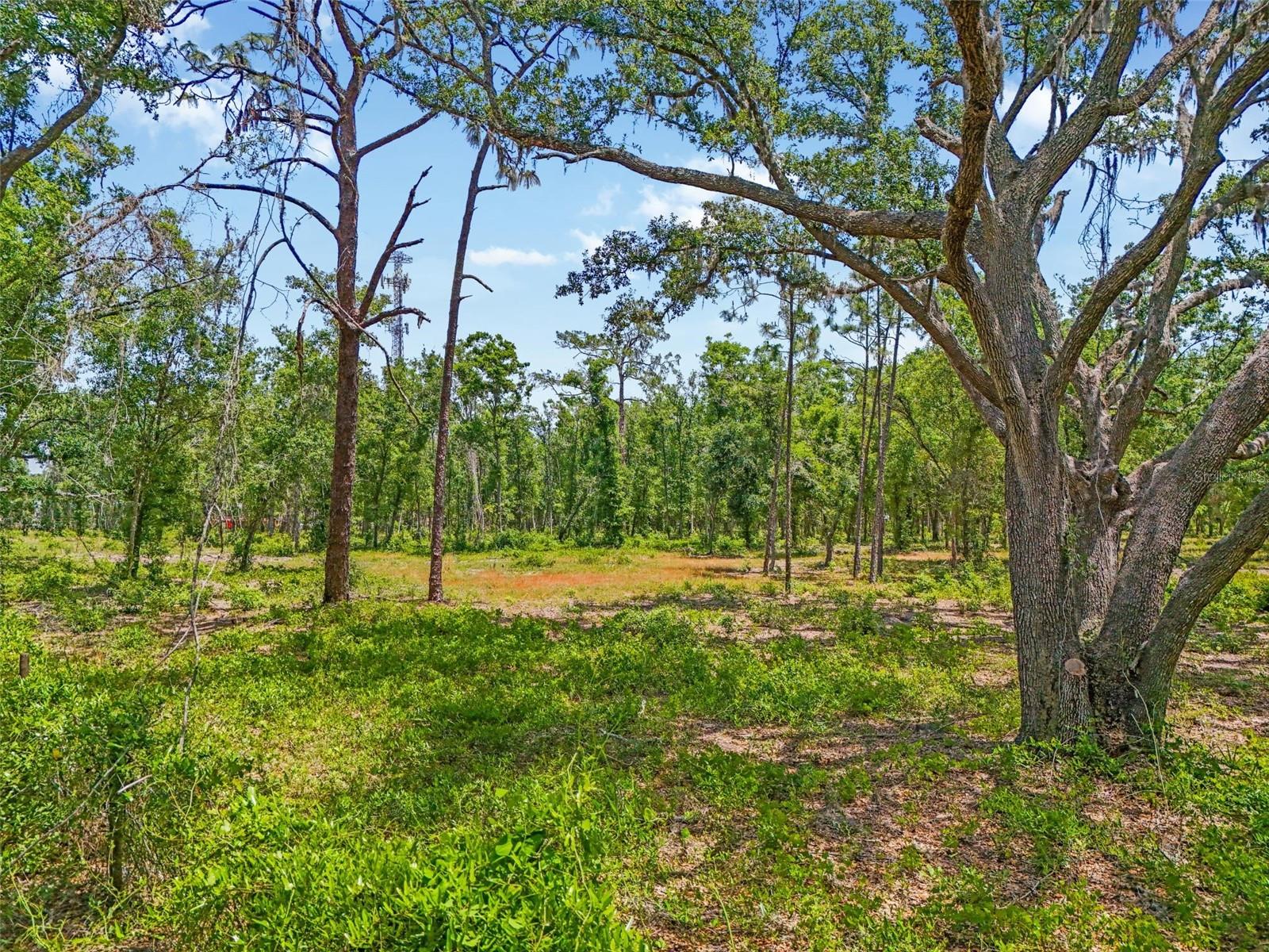 JUST OUR LANE, SEFFNER, FL, 33584