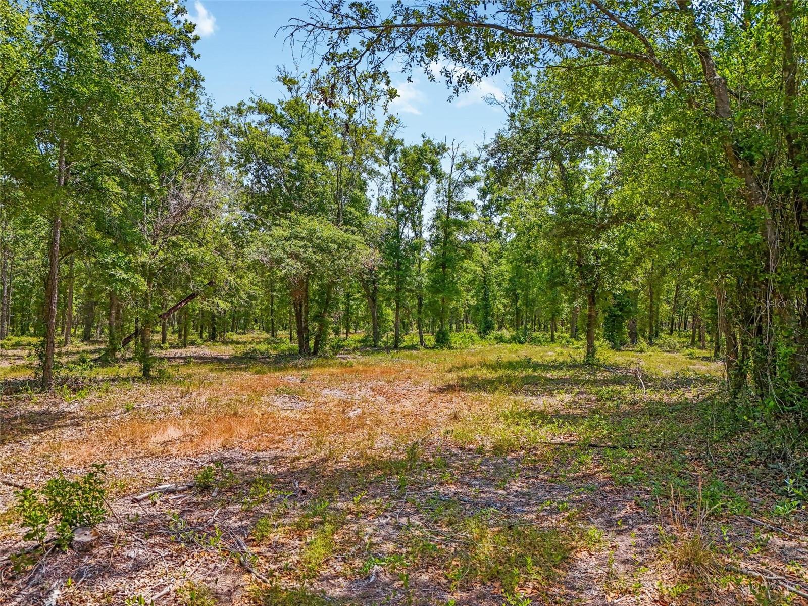 JUST OUR LANE, SEFFNER, FL, 33584