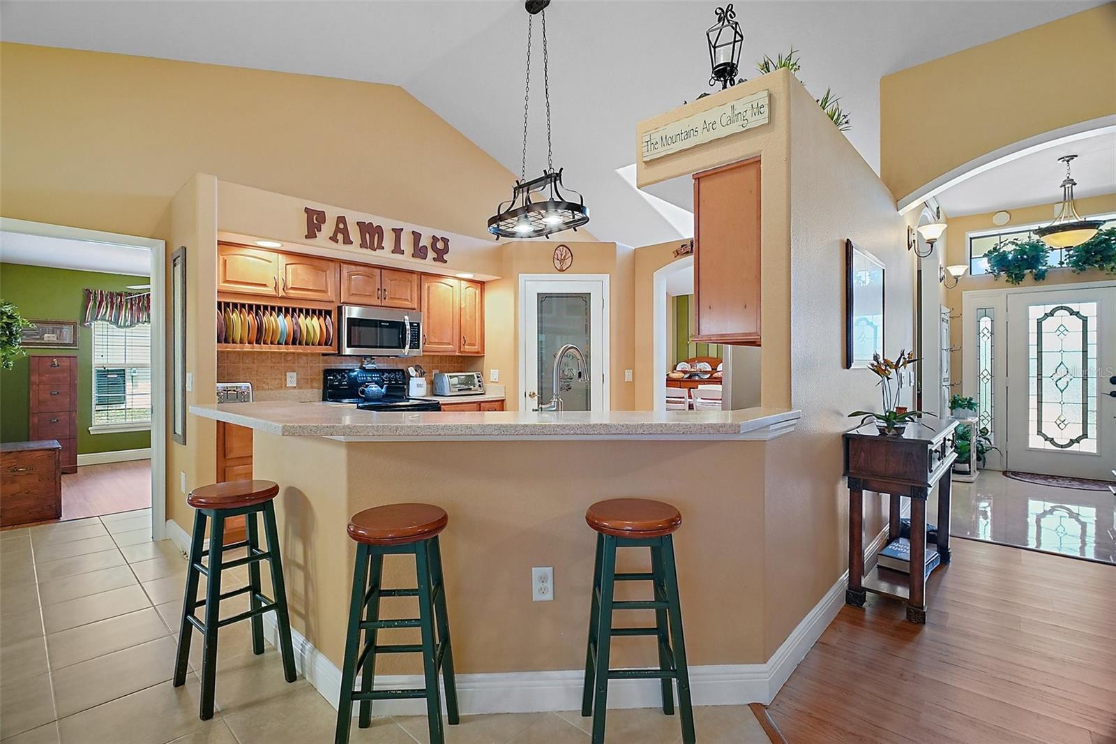 397 ANDERSON DR, TAVARES, FL, 32778