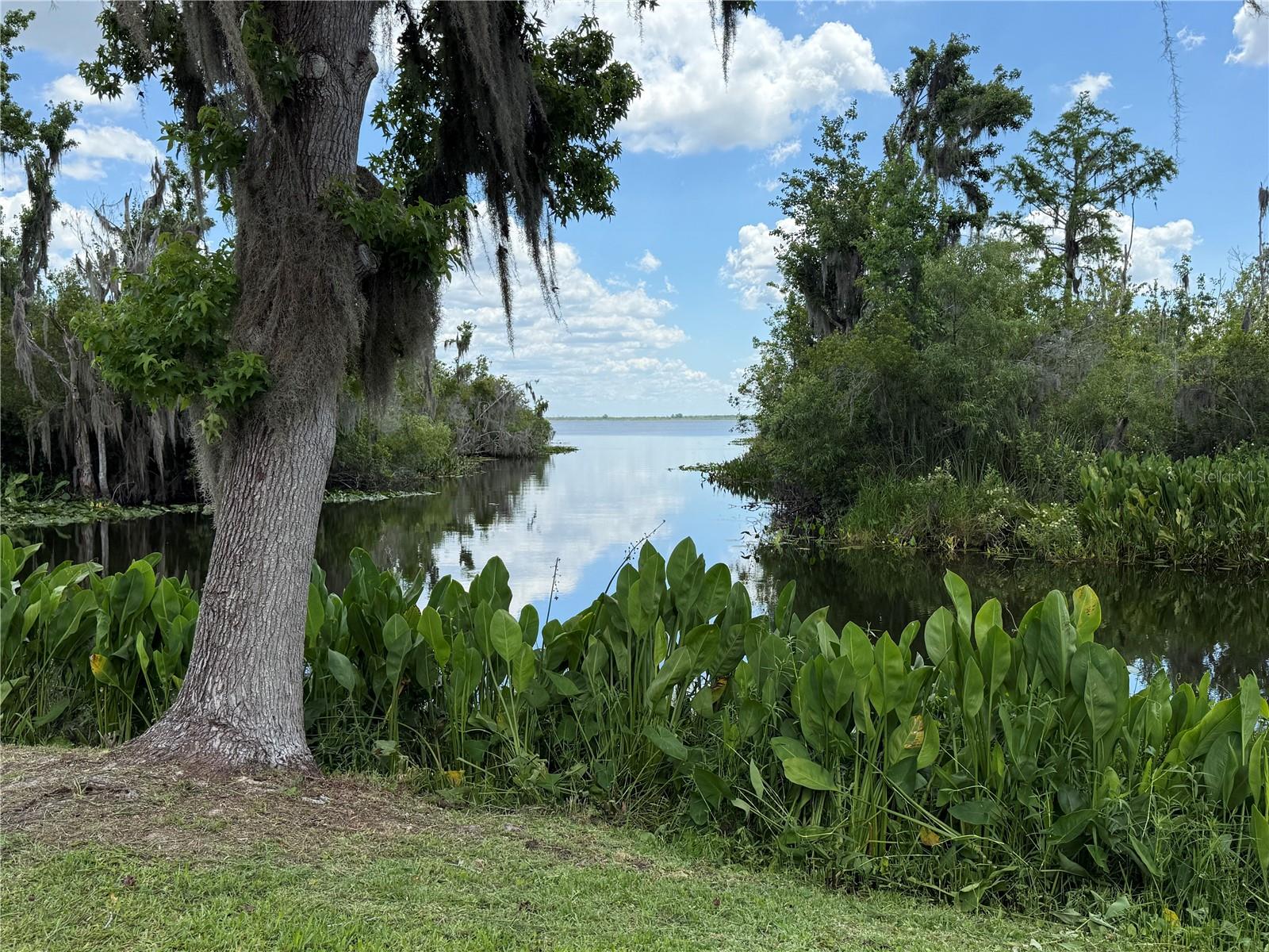 36736 BROOK RD, FRUITLAND PARK, FL, 34731