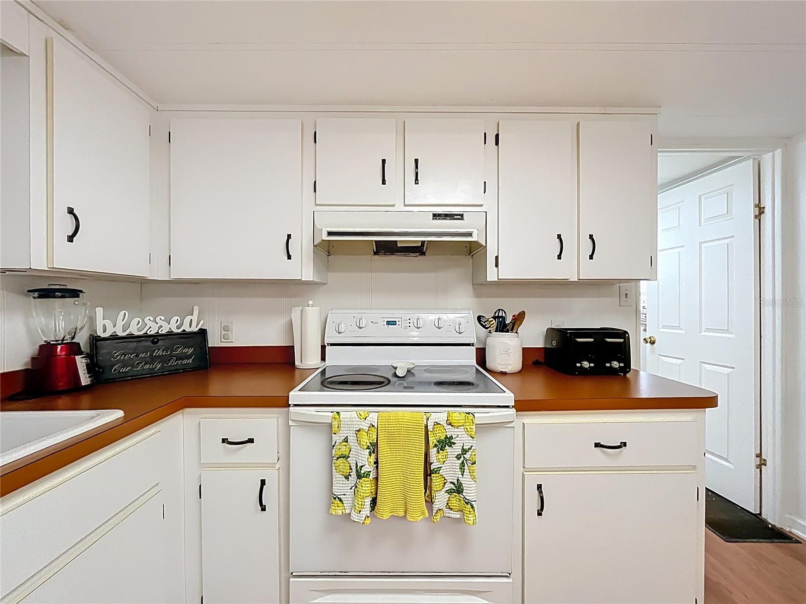 36736 BROOK RD, FRUITLAND PARK, FL, 34731