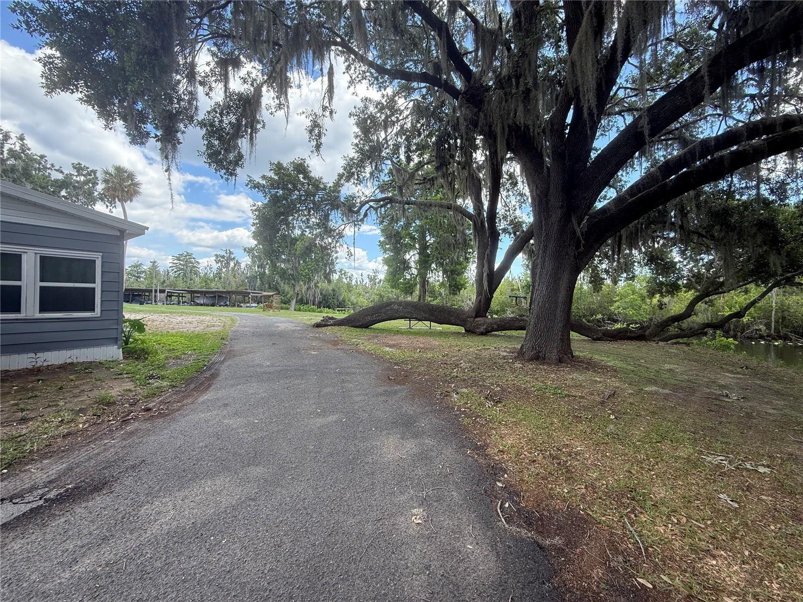 36736 BROOK RD, FRUITLAND PARK, FL, 34731