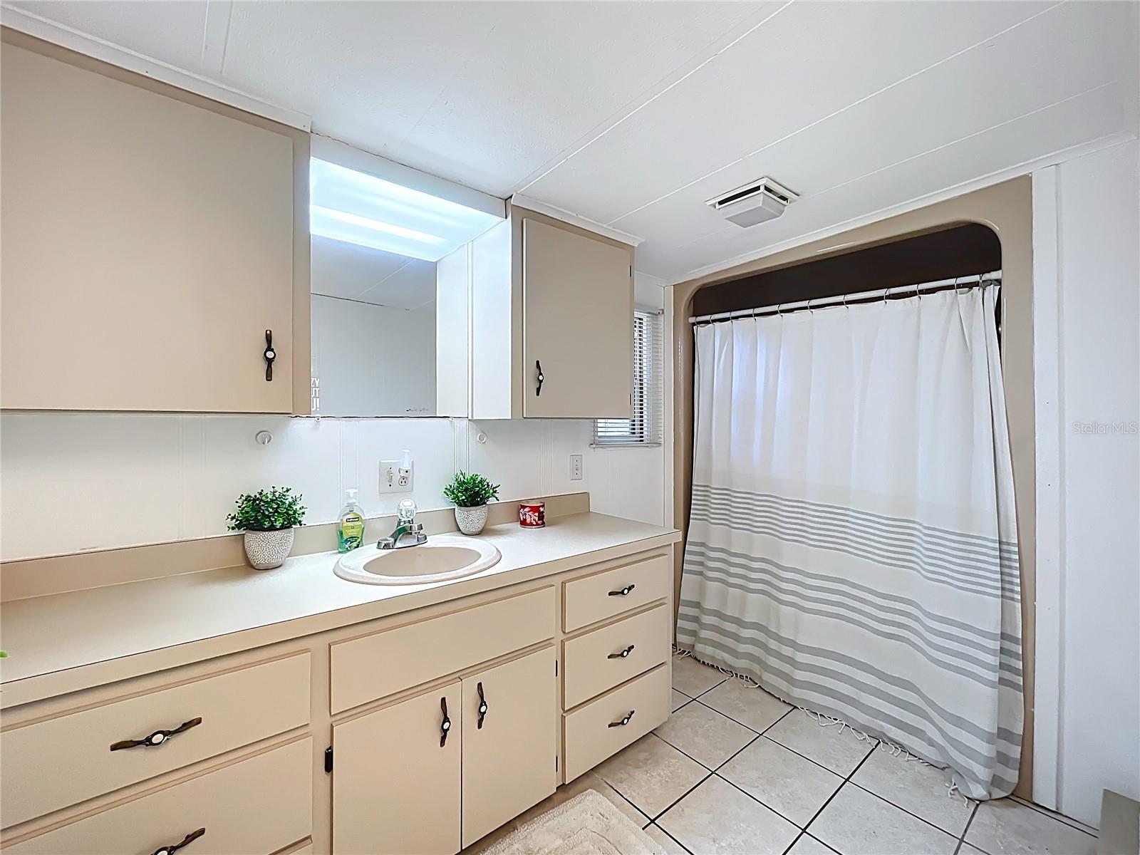 36736 BROOK RD, FRUITLAND PARK, FL, 34731