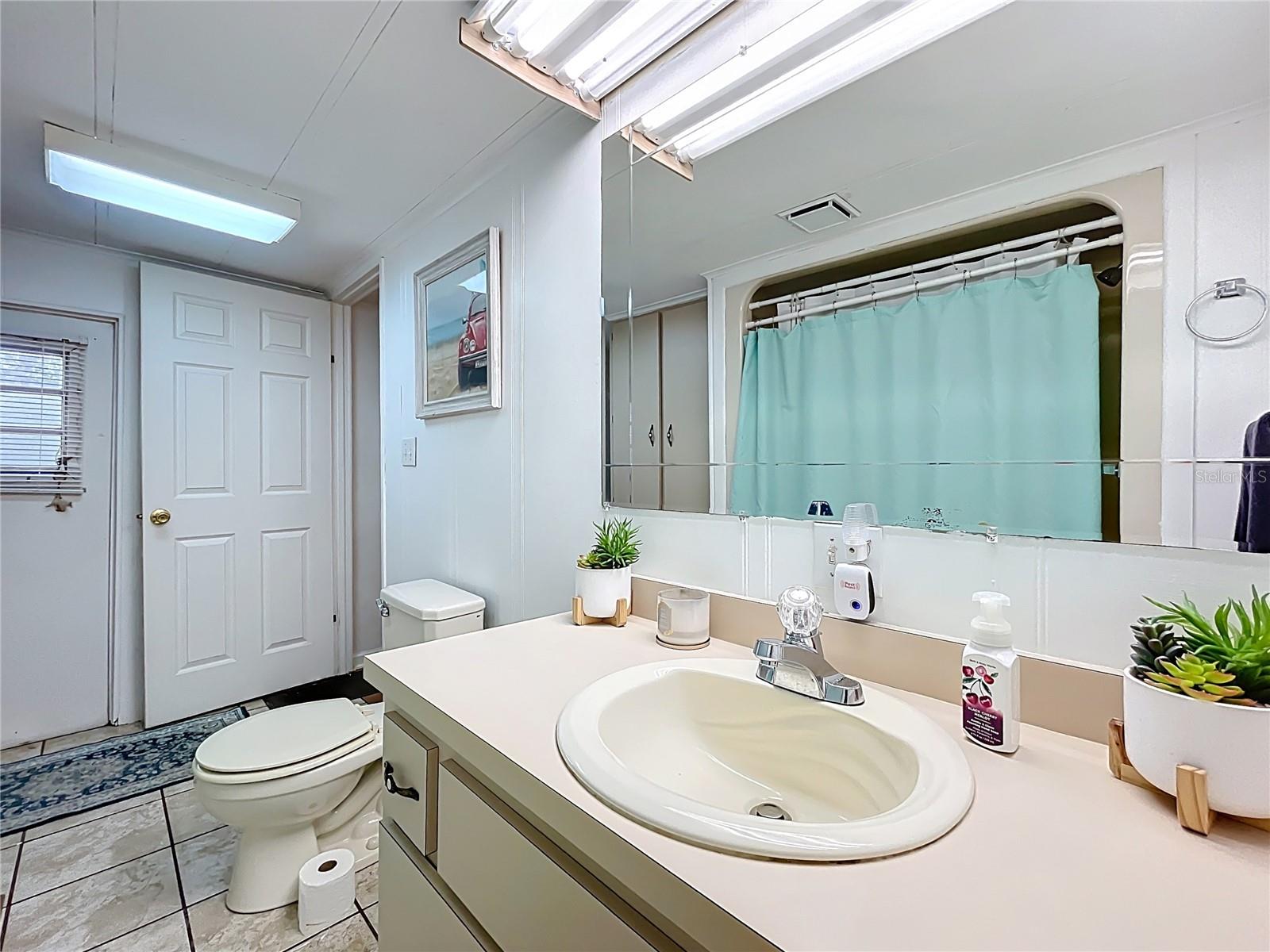 36736 BROOK RD, FRUITLAND PARK, FL, 34731