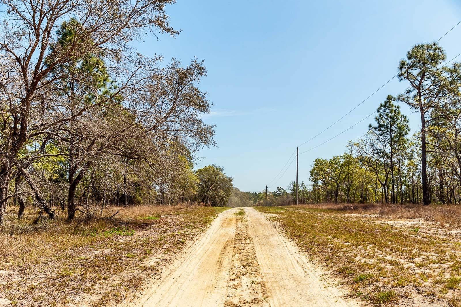 SE 98 ST, DUNNELLON, FL, 34431