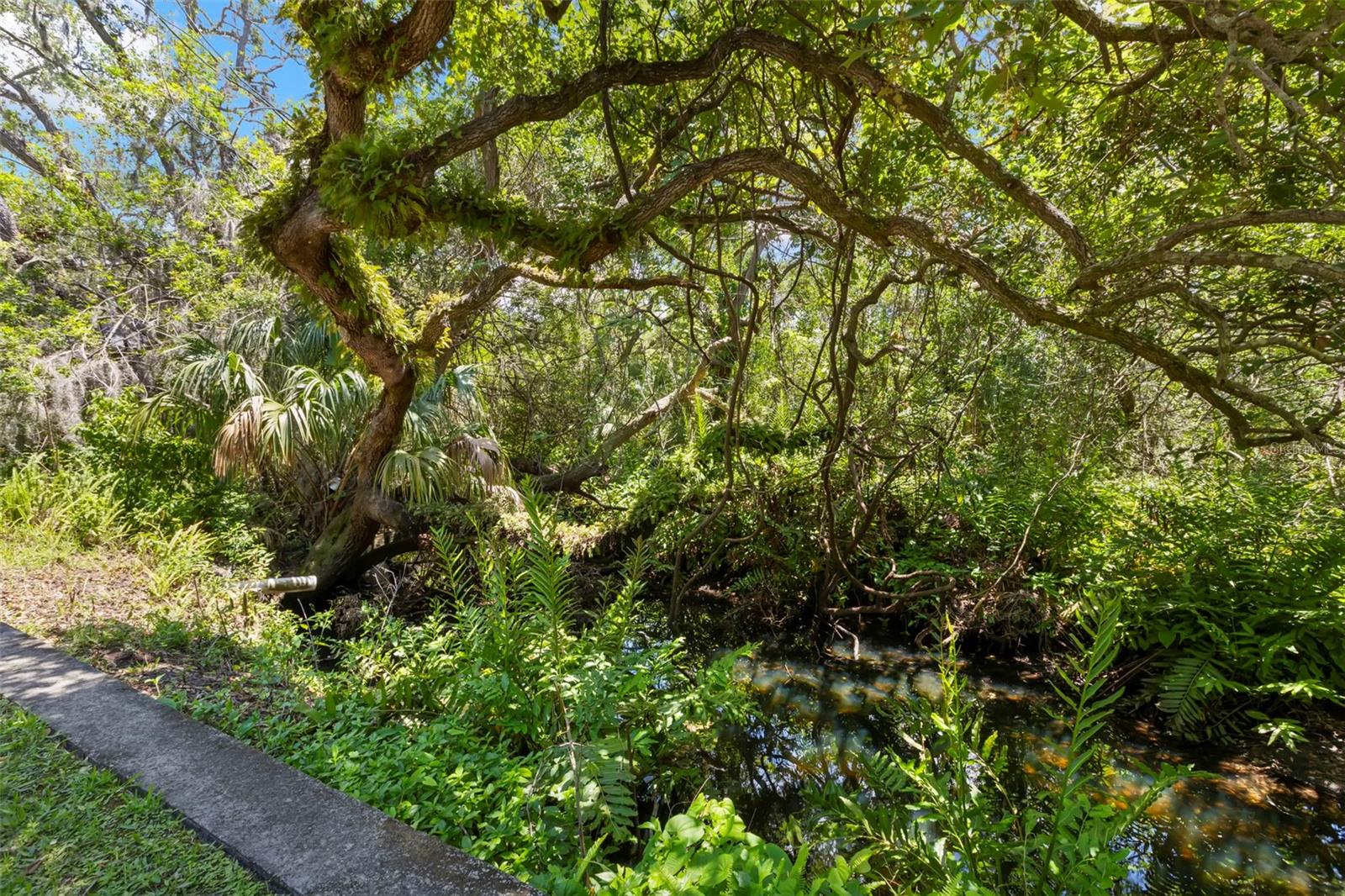 2033 ARBOR DR, CLEARWATER, FL, 33760