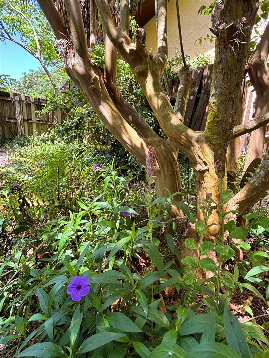 20 BLAKESHIRE PL, PALM COAST, FL, 32137