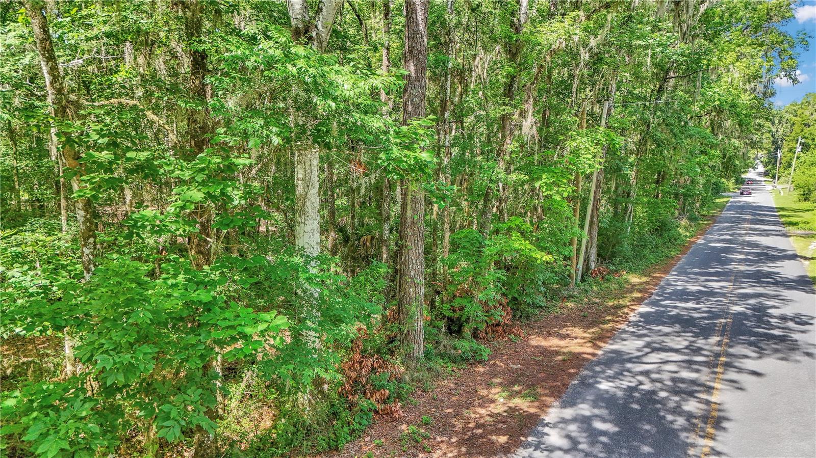 SE 130TH ST, BELLEVIEW, FL, 34420