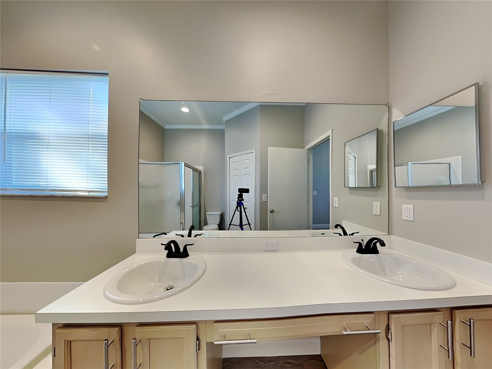 18018 PALM BREEZE DR, TAMPA, FL, 33647