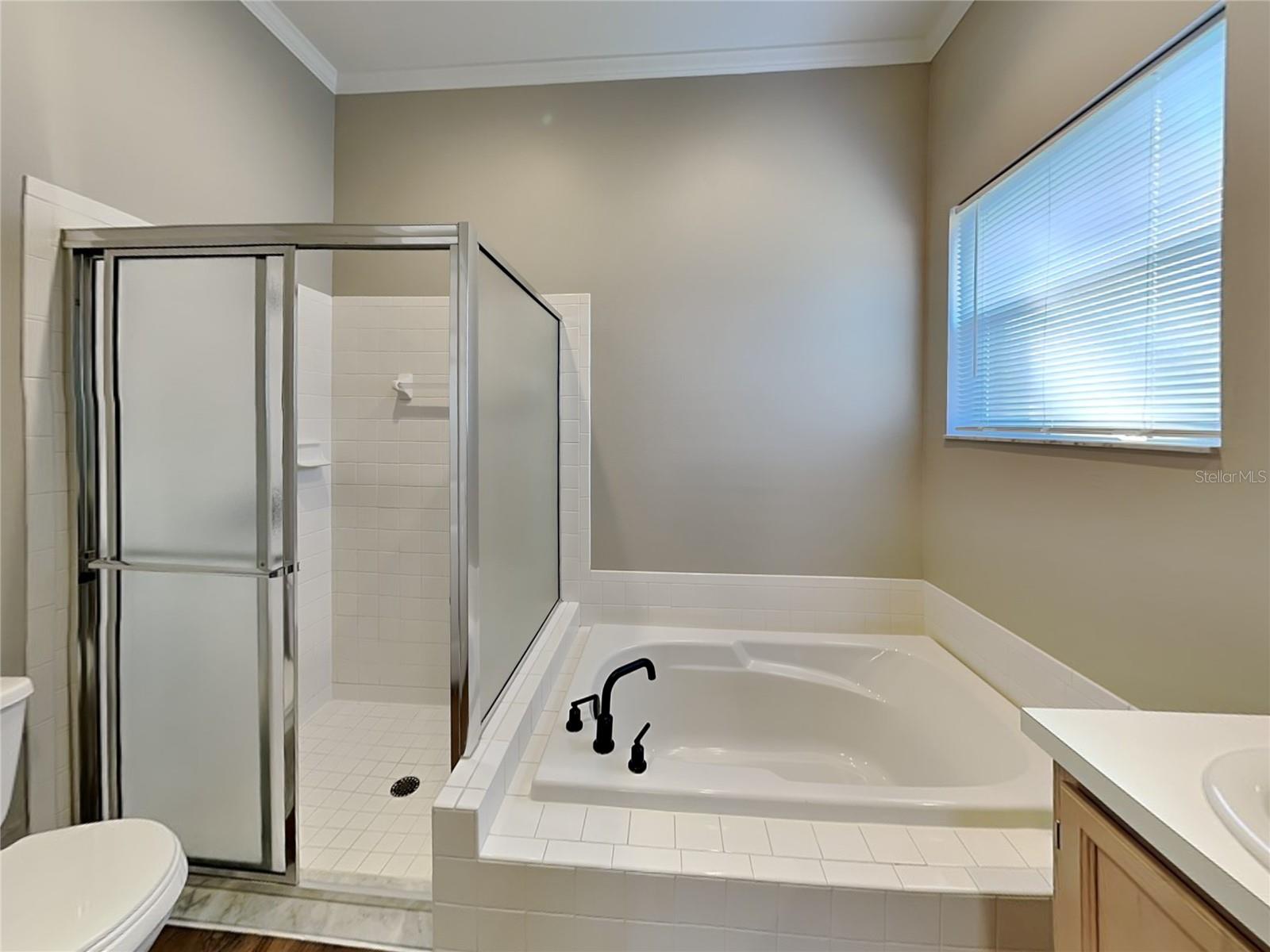 18018 PALM BREEZE DR, TAMPA, FL, 33647