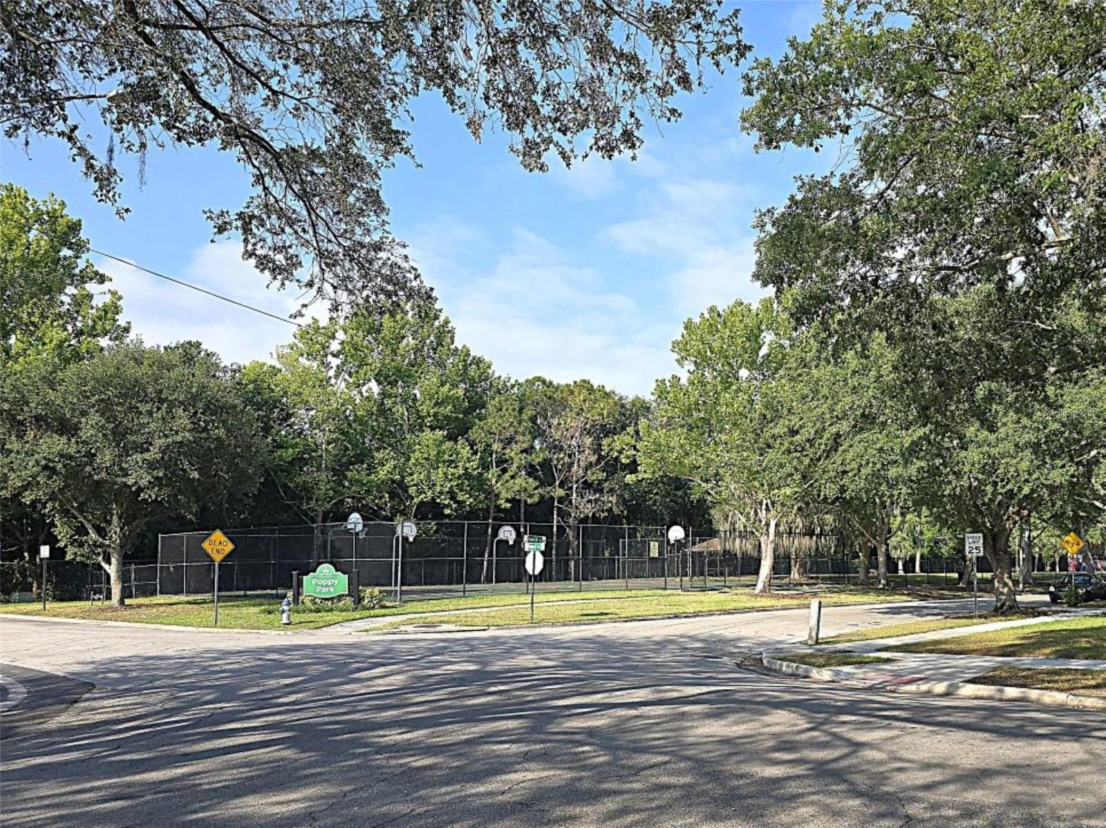 5262 LESCOT LN, ORLANDO, FL, 32811