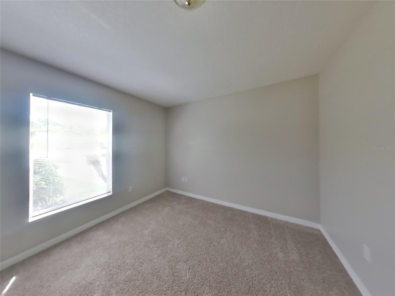 4409 VENICE DR, LAND O LAKES, FL, 34639