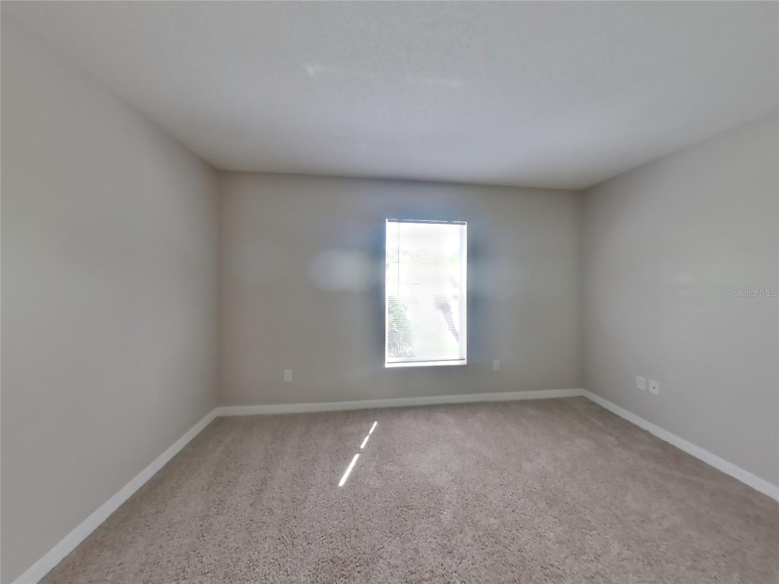 4409 VENICE DR, LAND O LAKES, FL, 34639