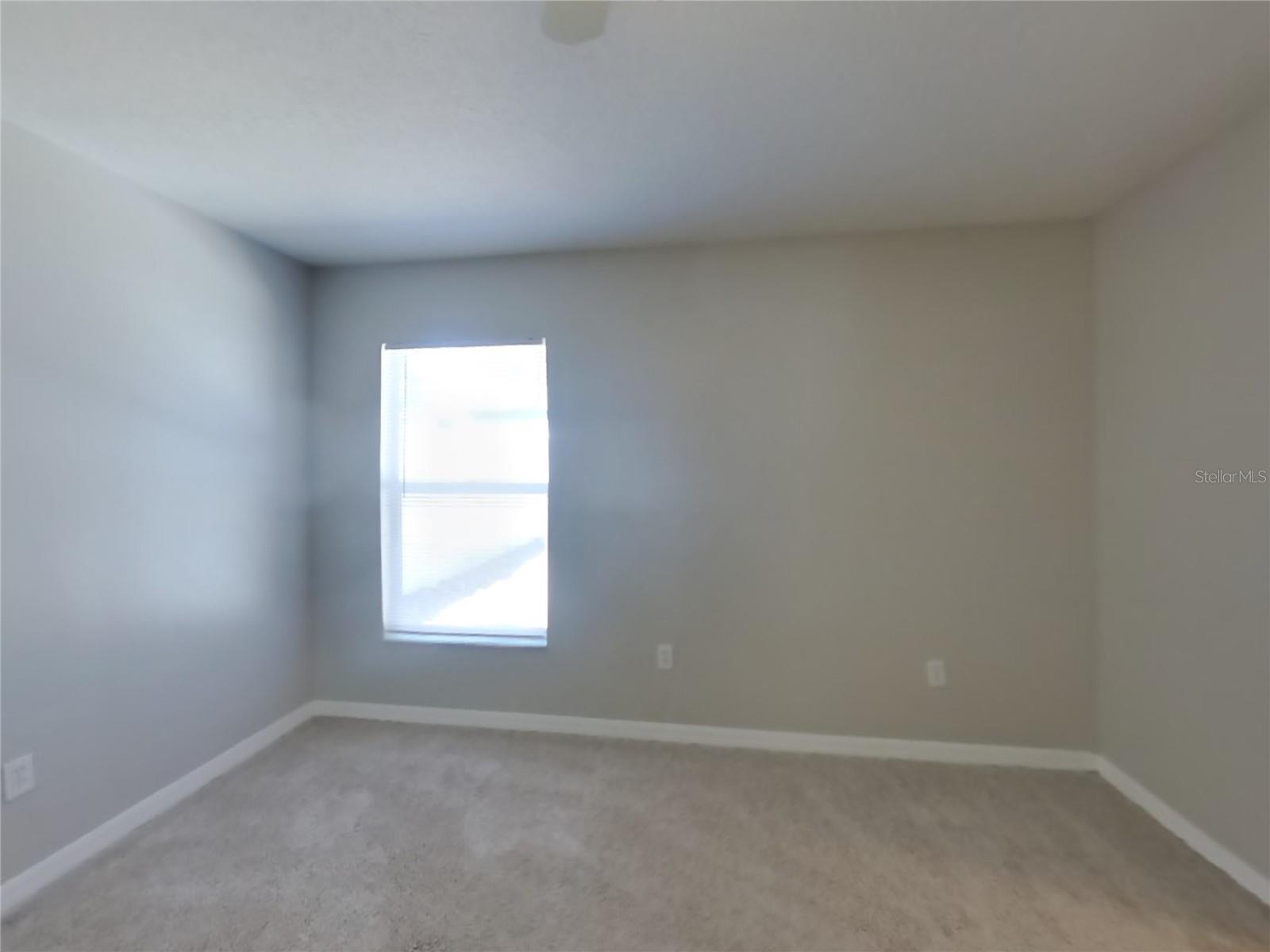 4409 VENICE DR, LAND O LAKES, FL, 34639