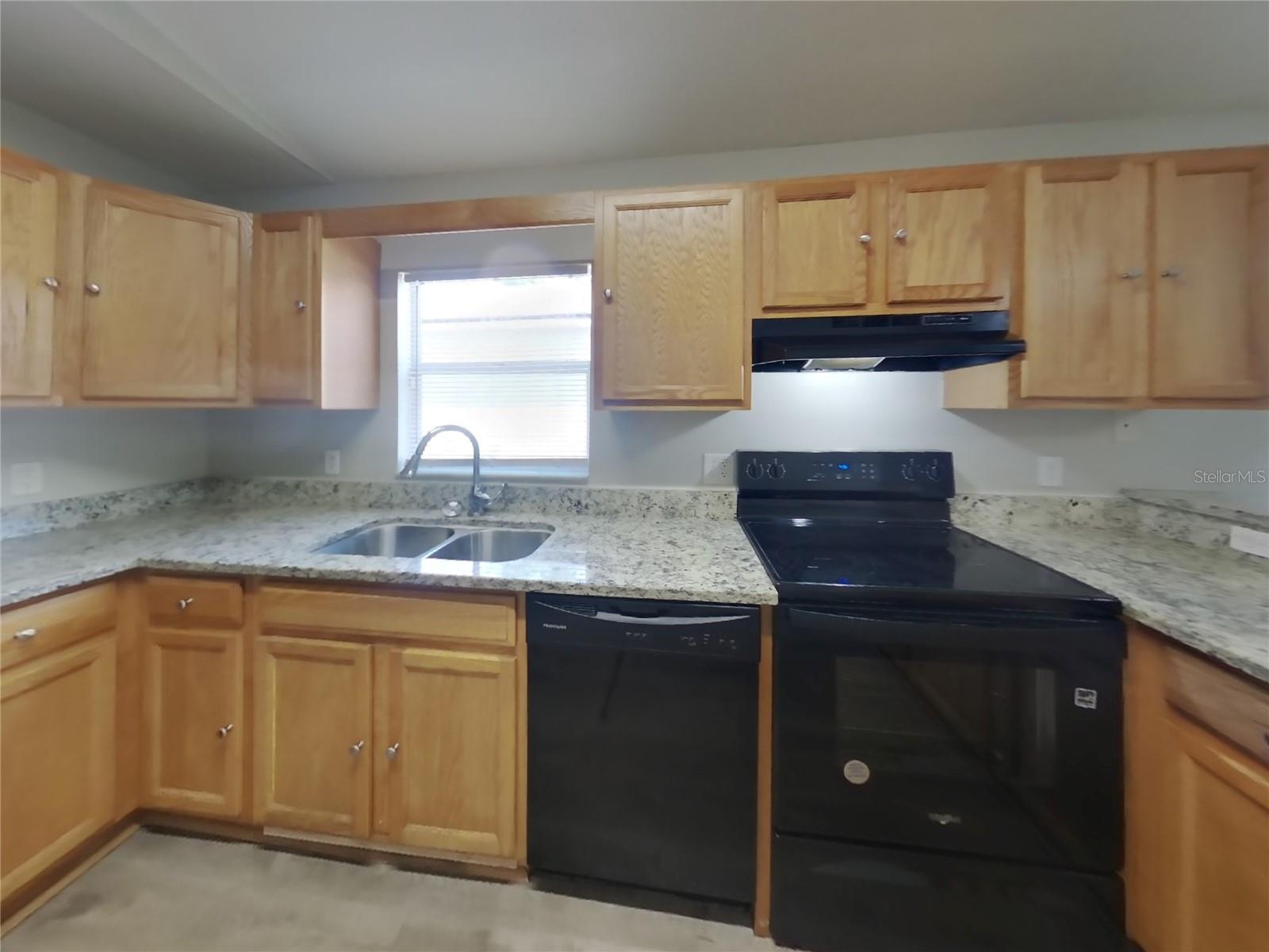 4409 VENICE DR, LAND O LAKES, FL, 34639