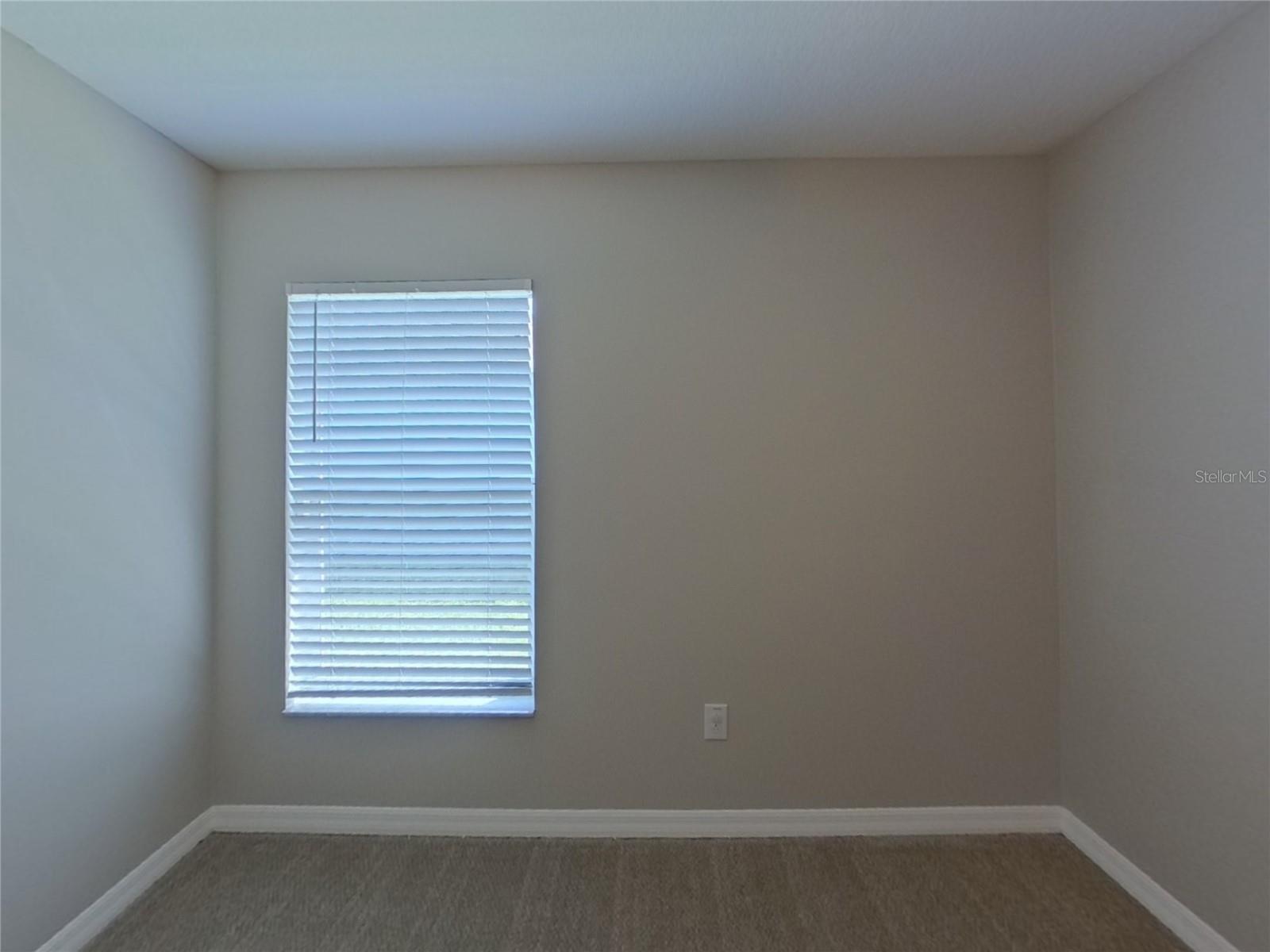 17224 WHITE MANGROVE DR, WIMAUMA, FL, 33598