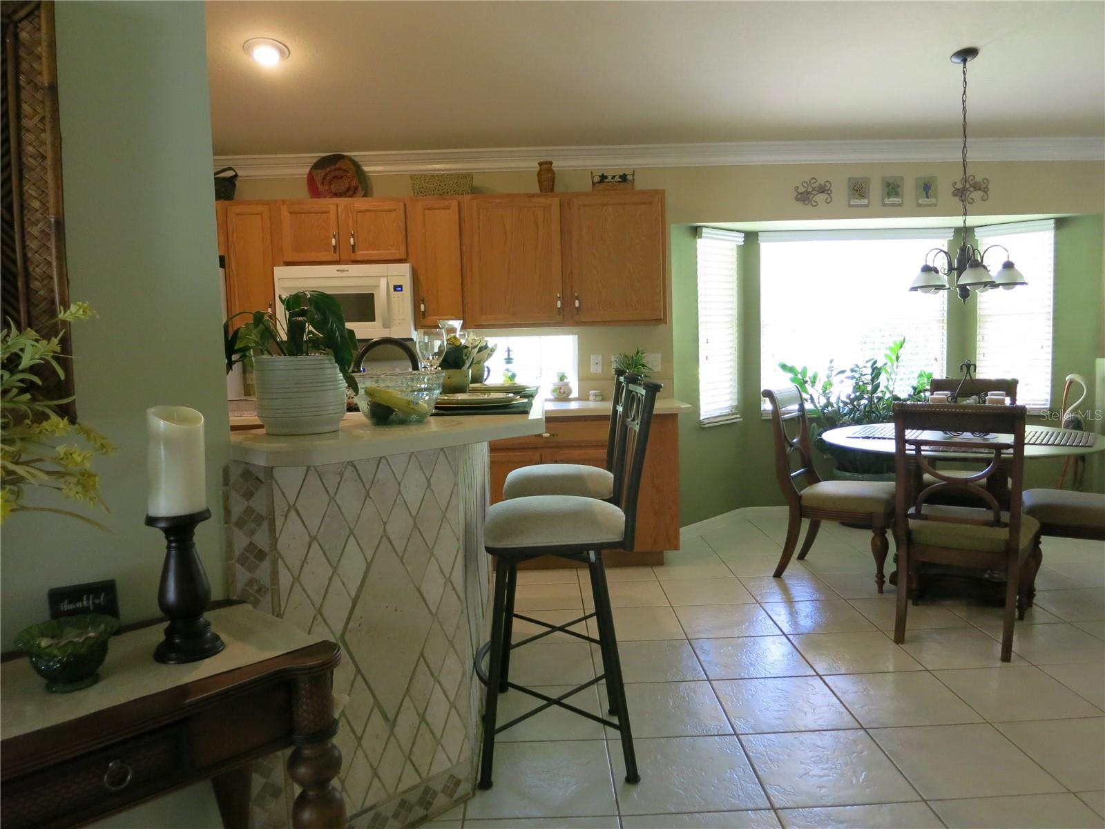 1799 W SHANELLE PATH, LECANTO, FL, 34461